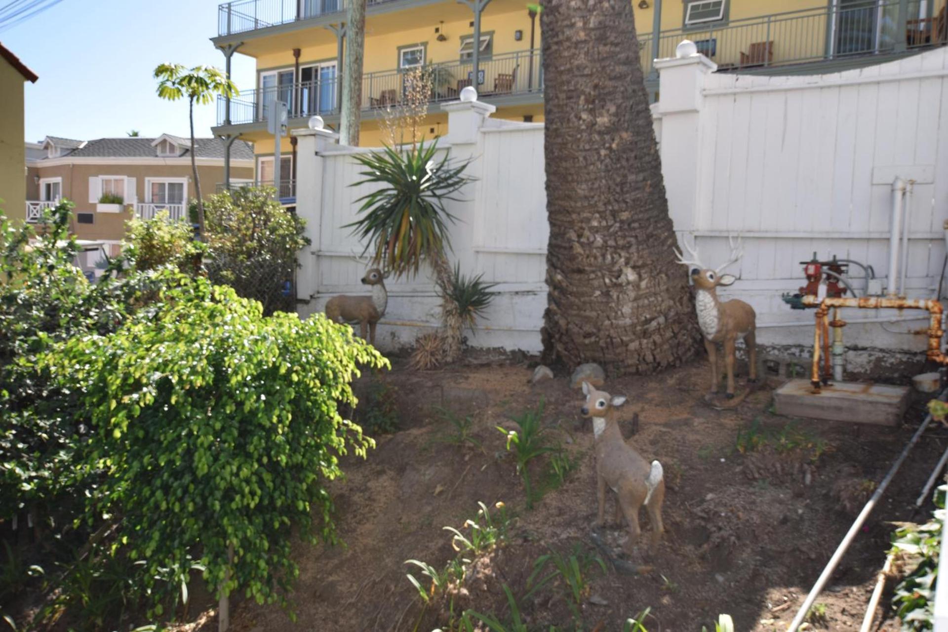 Hotel Catalina photo 20