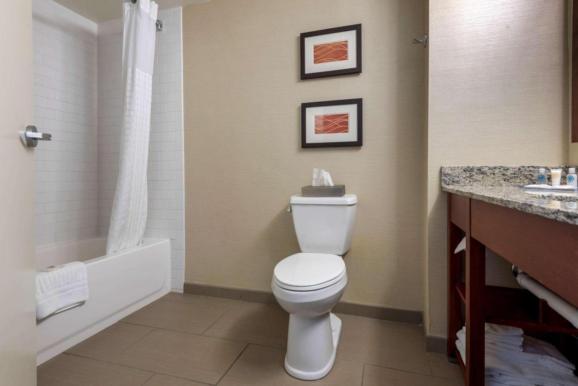 Comfort Inn The Pointe photo 16