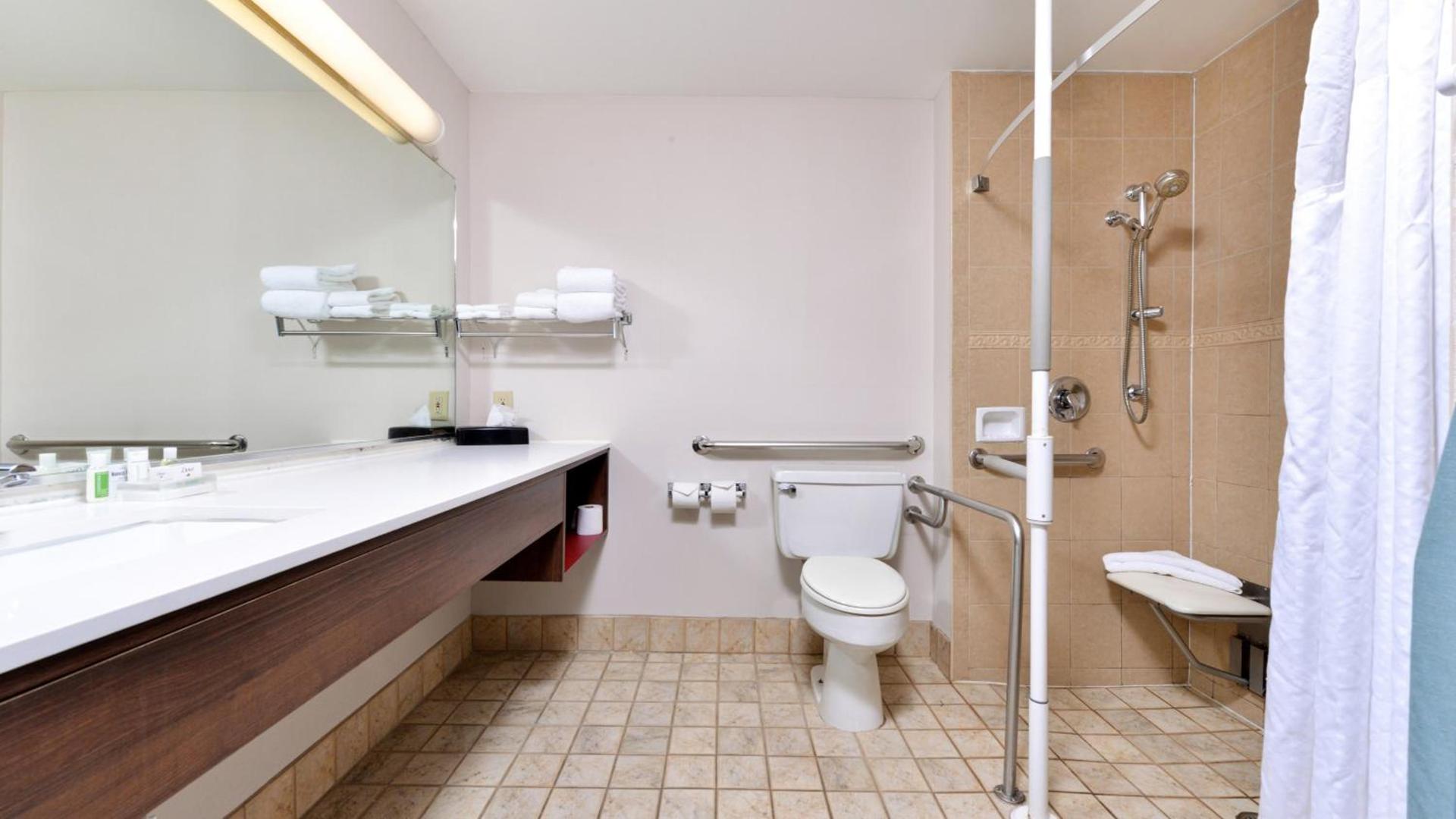 Holiday Inn Great Falls-Convention Center by IHG photo 60