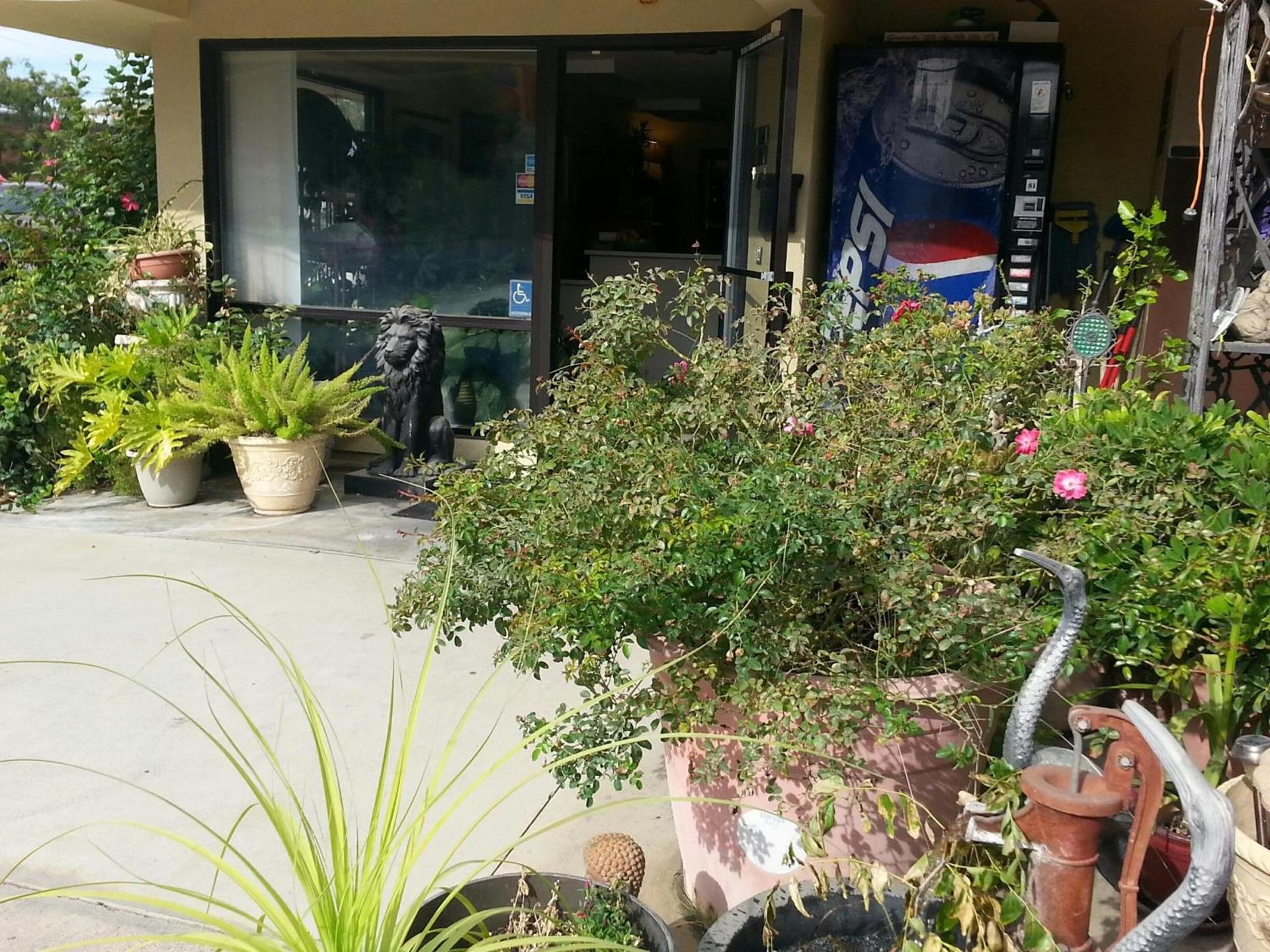 Colusa Riverside Inn photo 14