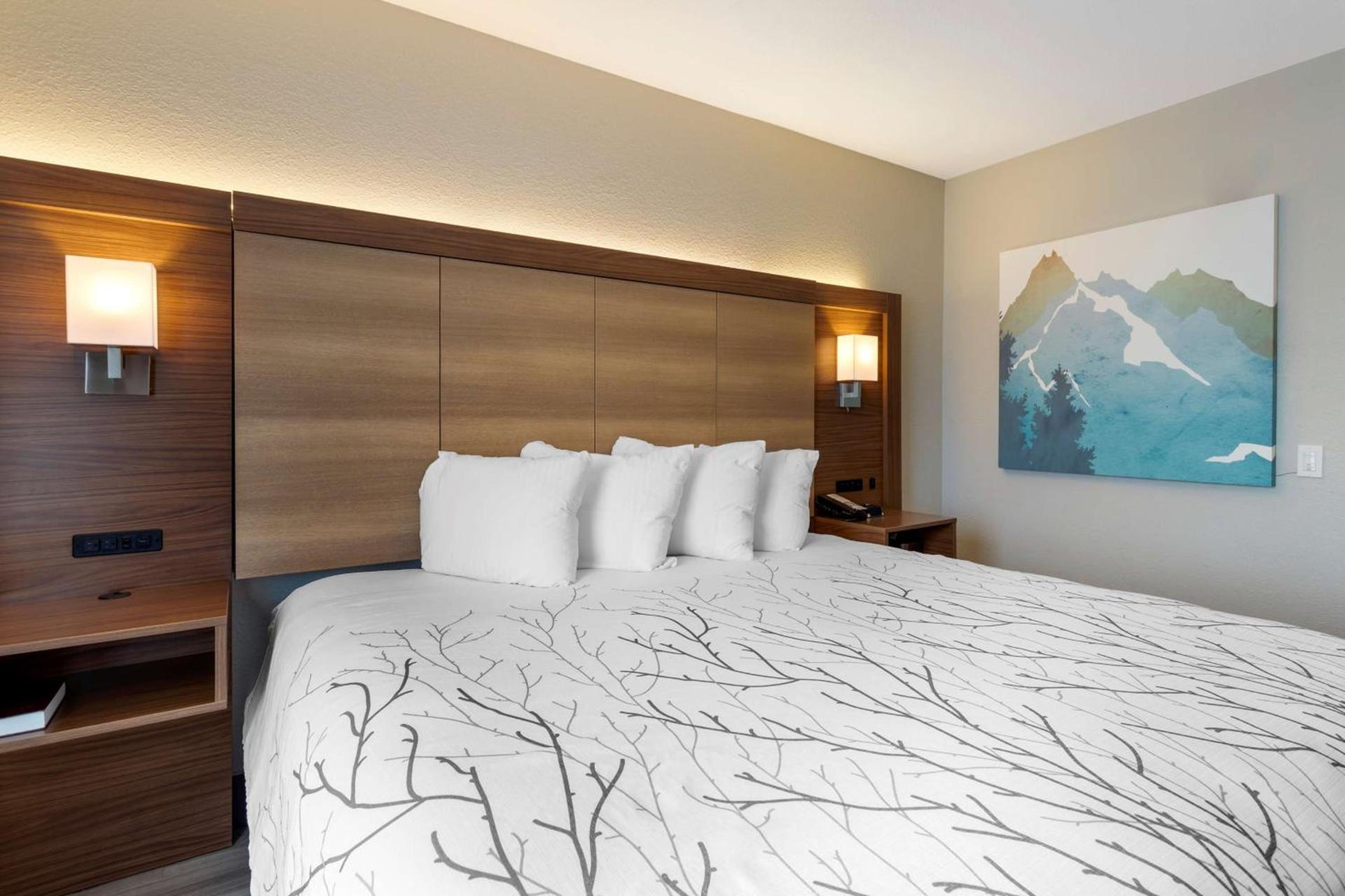 Garner Hotel Pigeon Forge Downtown by IHG photo 13