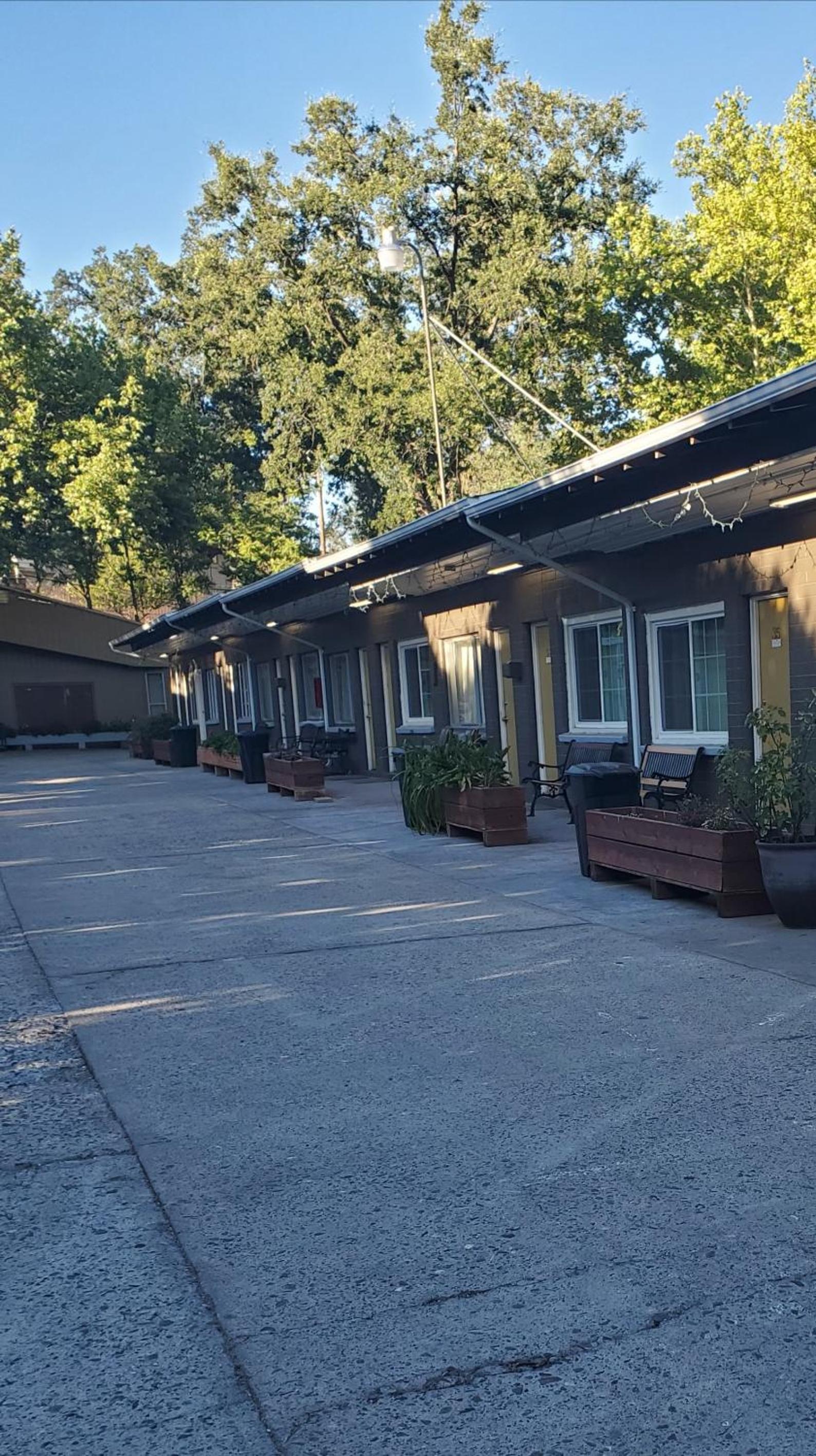 The Gold Lodge photo 16