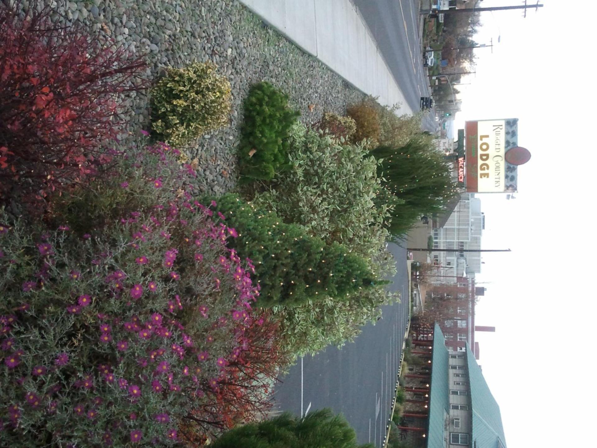 Rugged Country Lodge photo 31