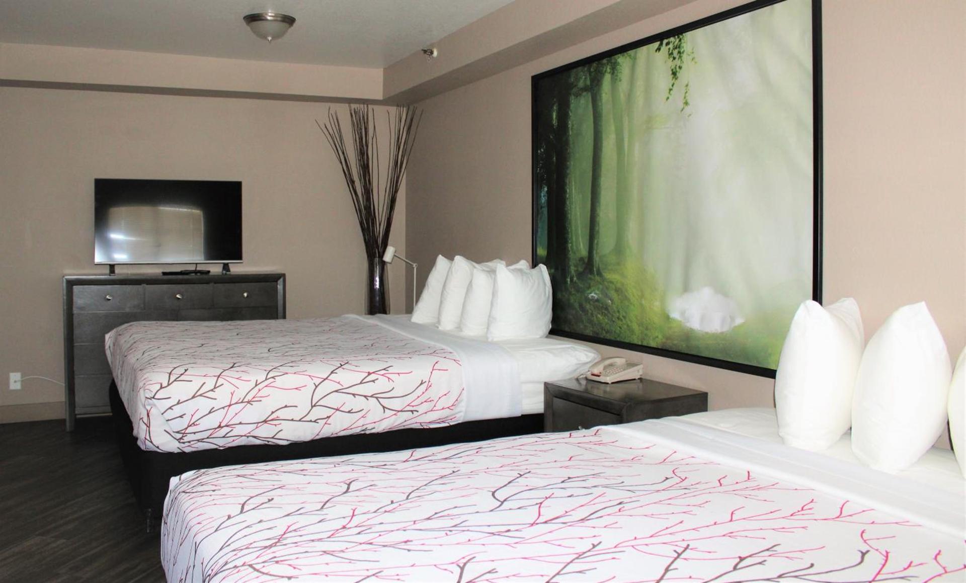 Rancho San Diego Inn & Suites photo 9