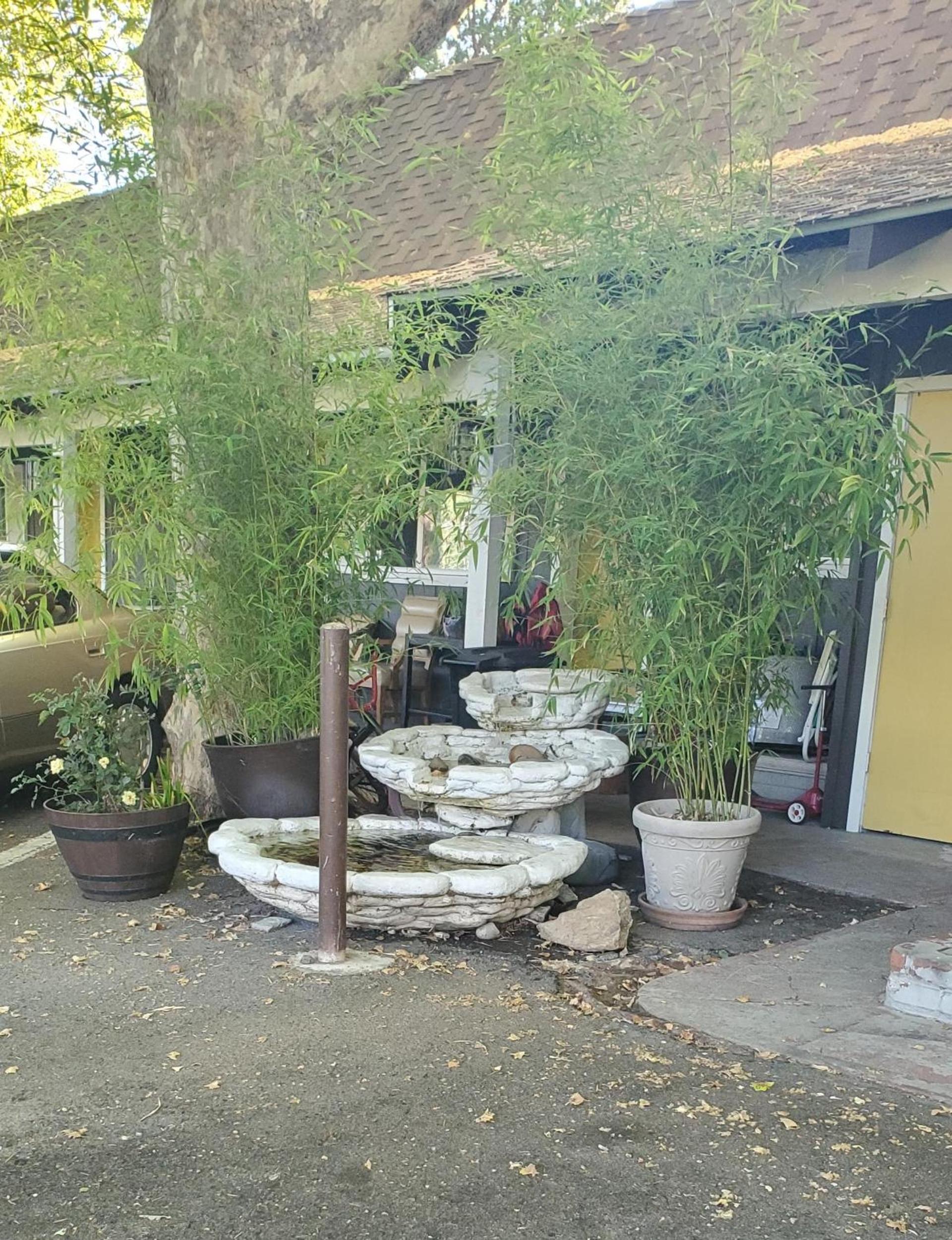 The Gold Lodge photo 18