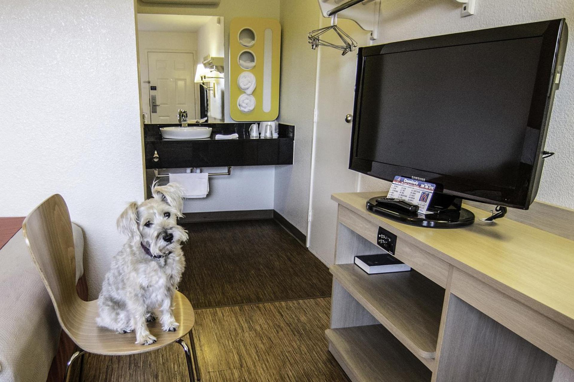 Motel 6-Coeur D'Alene, ID photo 35