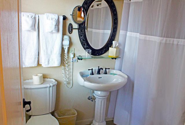 Silverton Inn & Suites photo 26