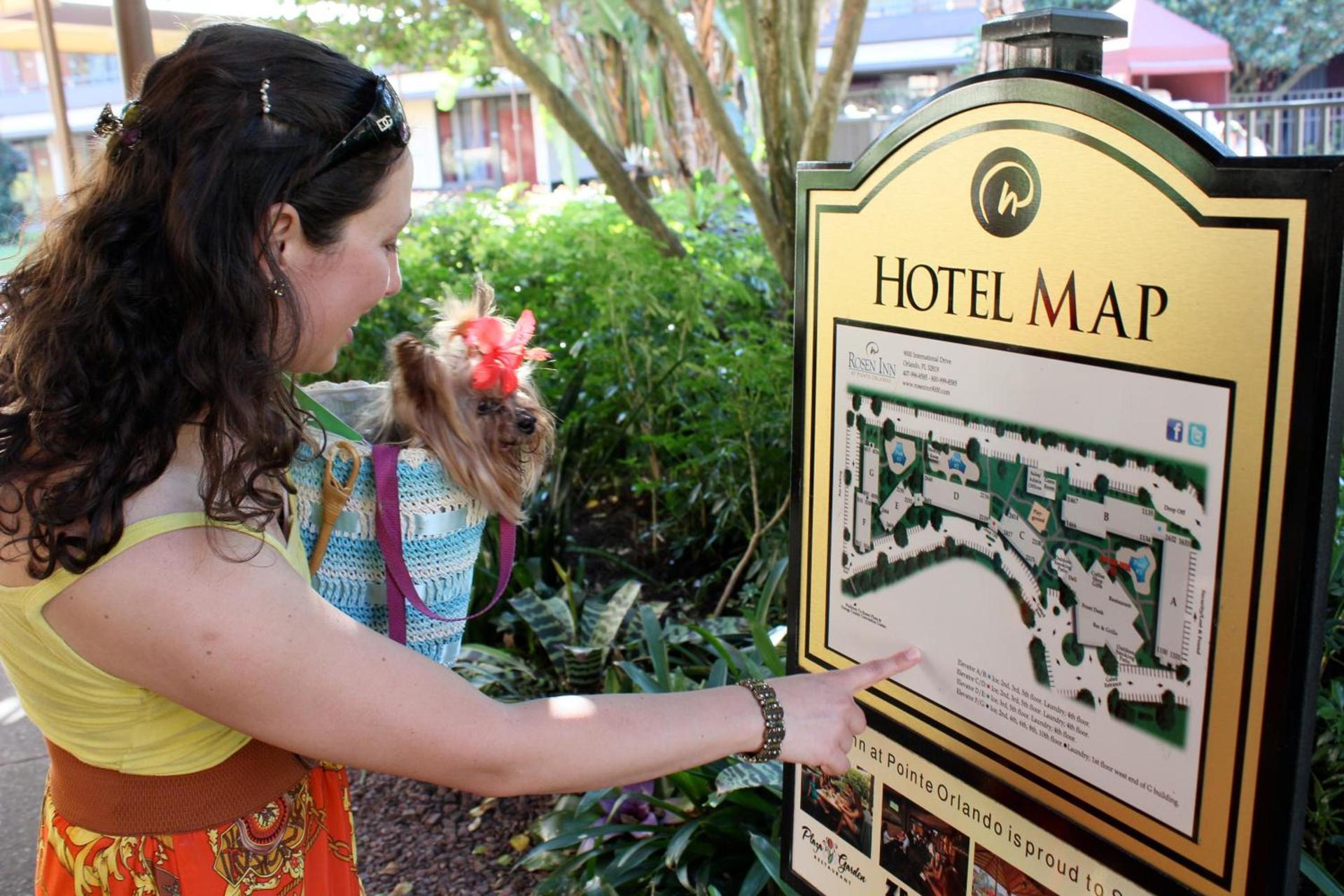 Rosen Inn at Pointe Orlando photo 10