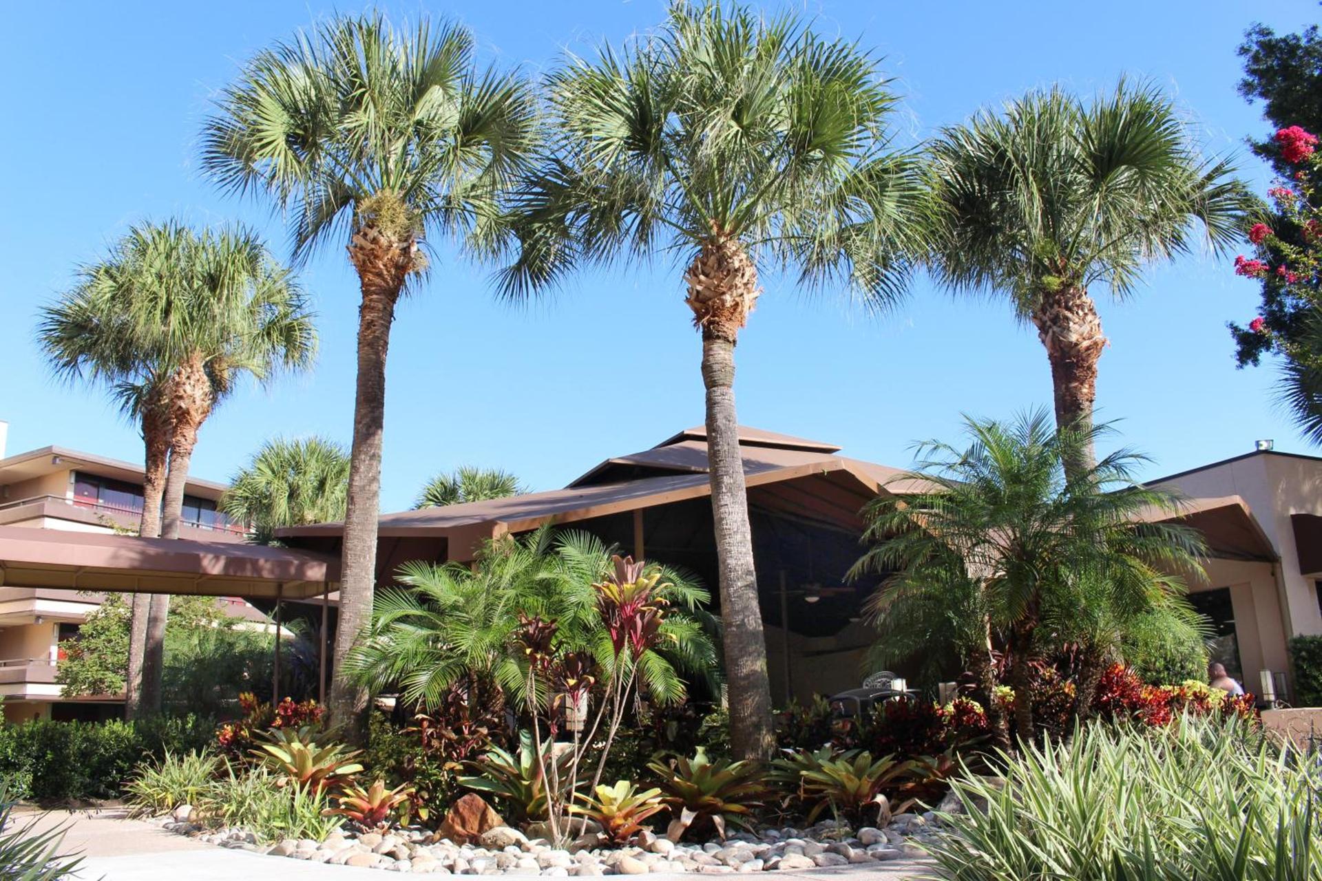 Rosen Inn at Pointe Orlando photo 11