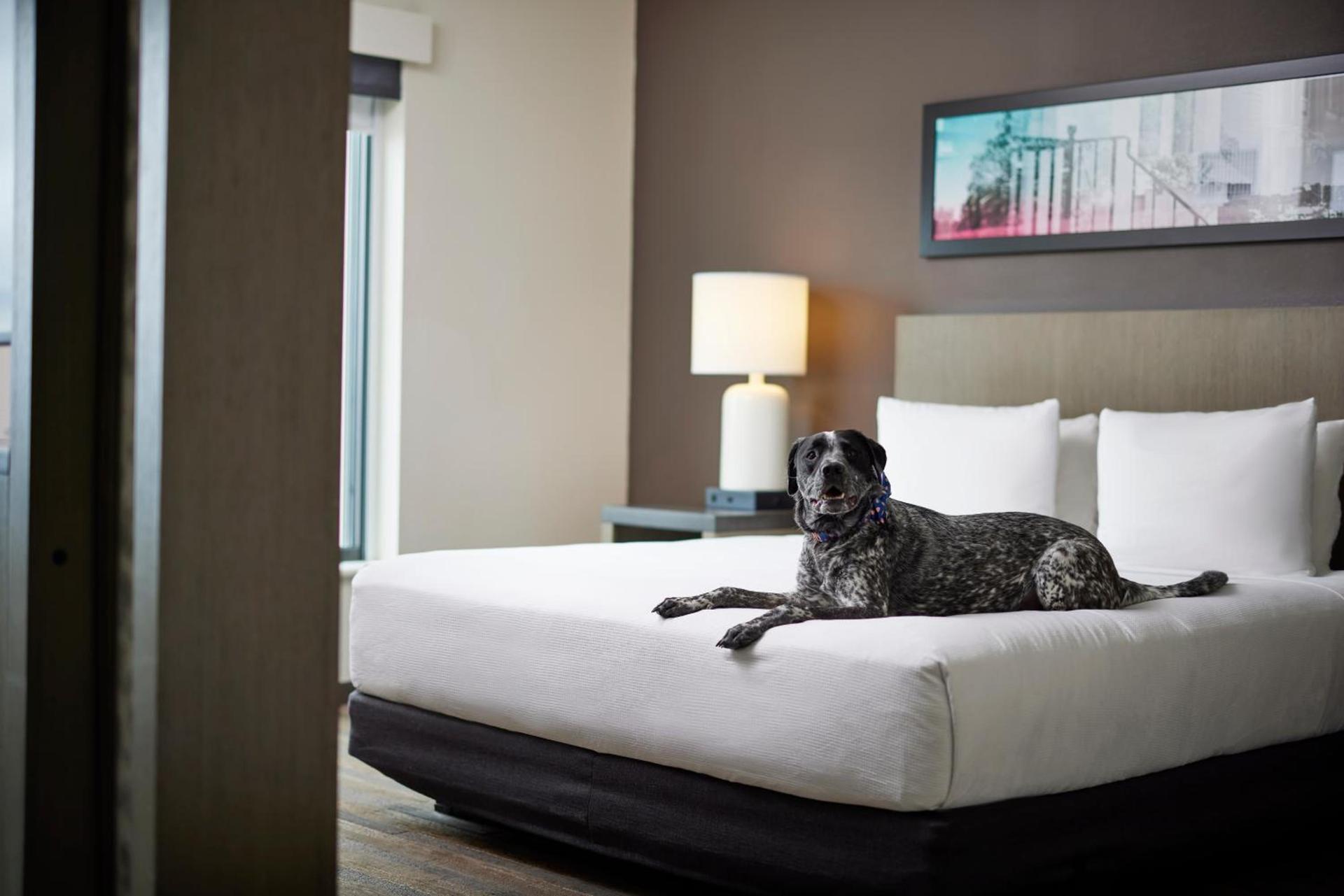 Hyatt House Denver Downtown photo 13