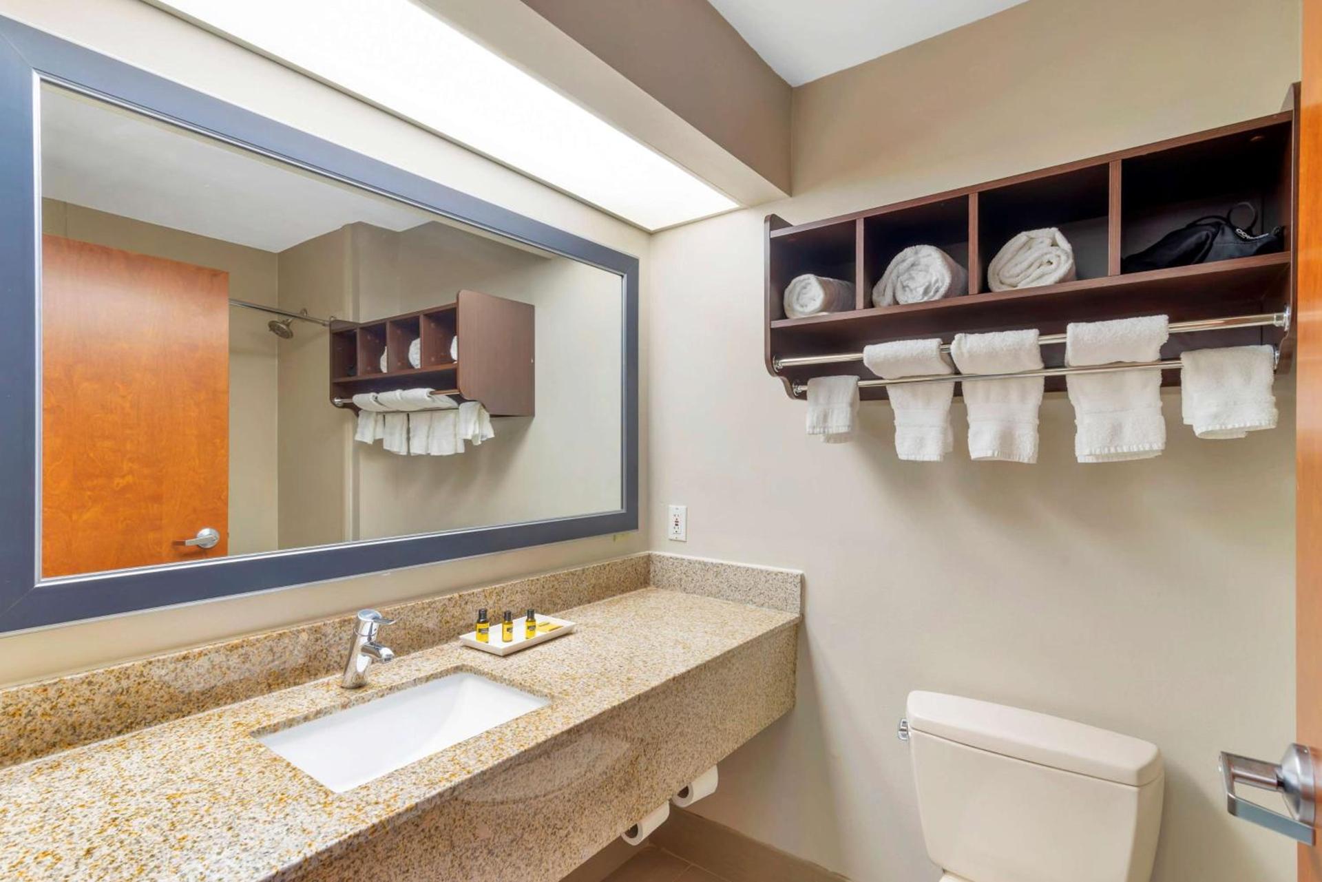 Best Western Plus McDonough Inn & Suites photo 12