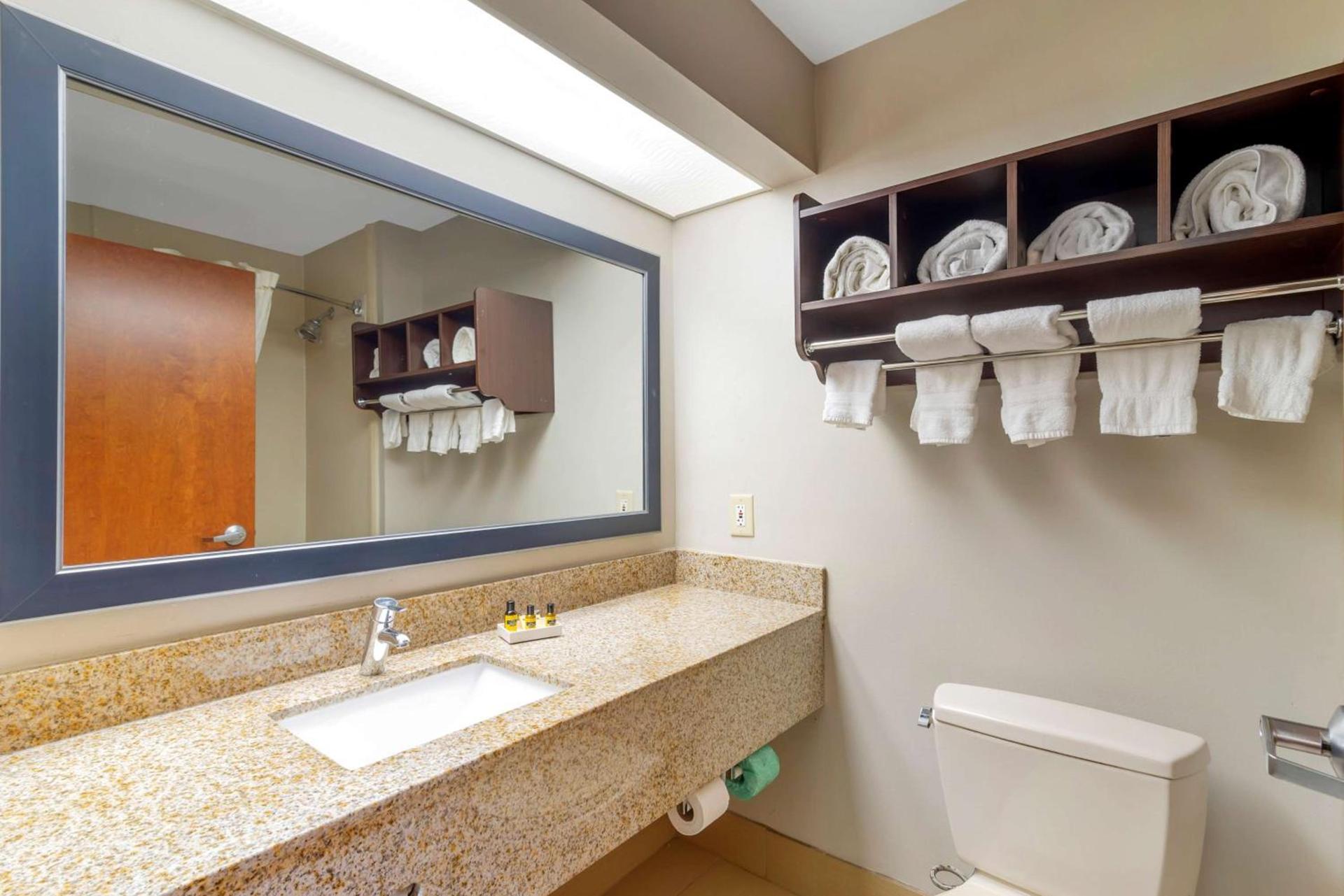 Best Western Plus McDonough Inn & Suites photo 28