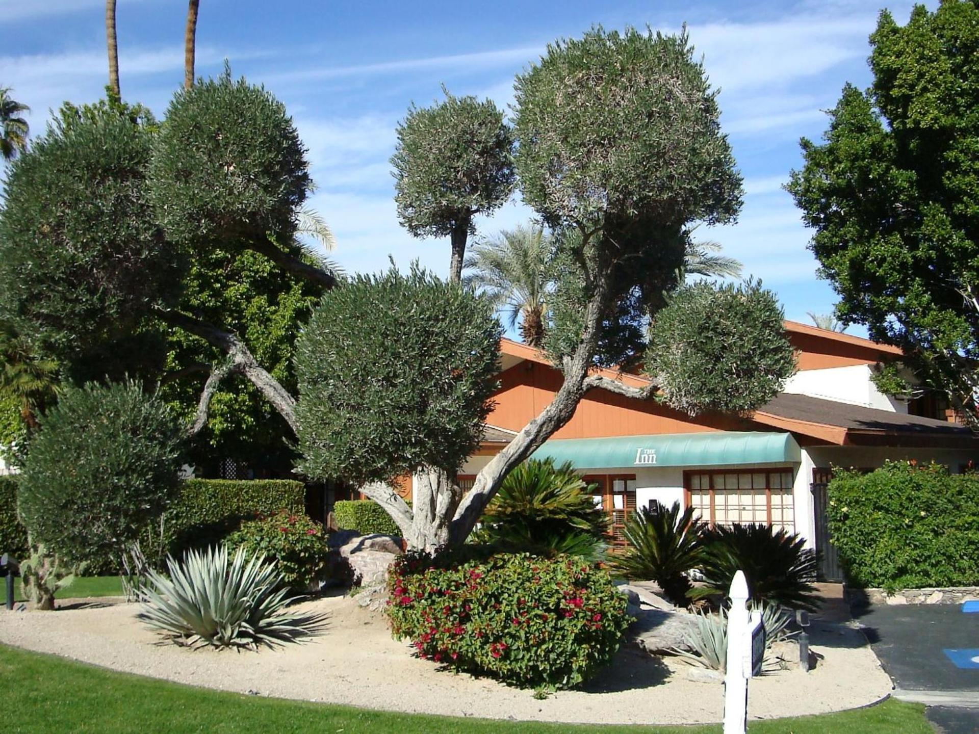 The Inn at Deep Canyon photo 14