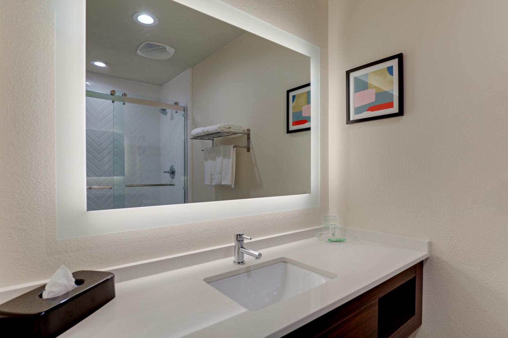 Holiday Inn Mobile Airport by IHG photo 46