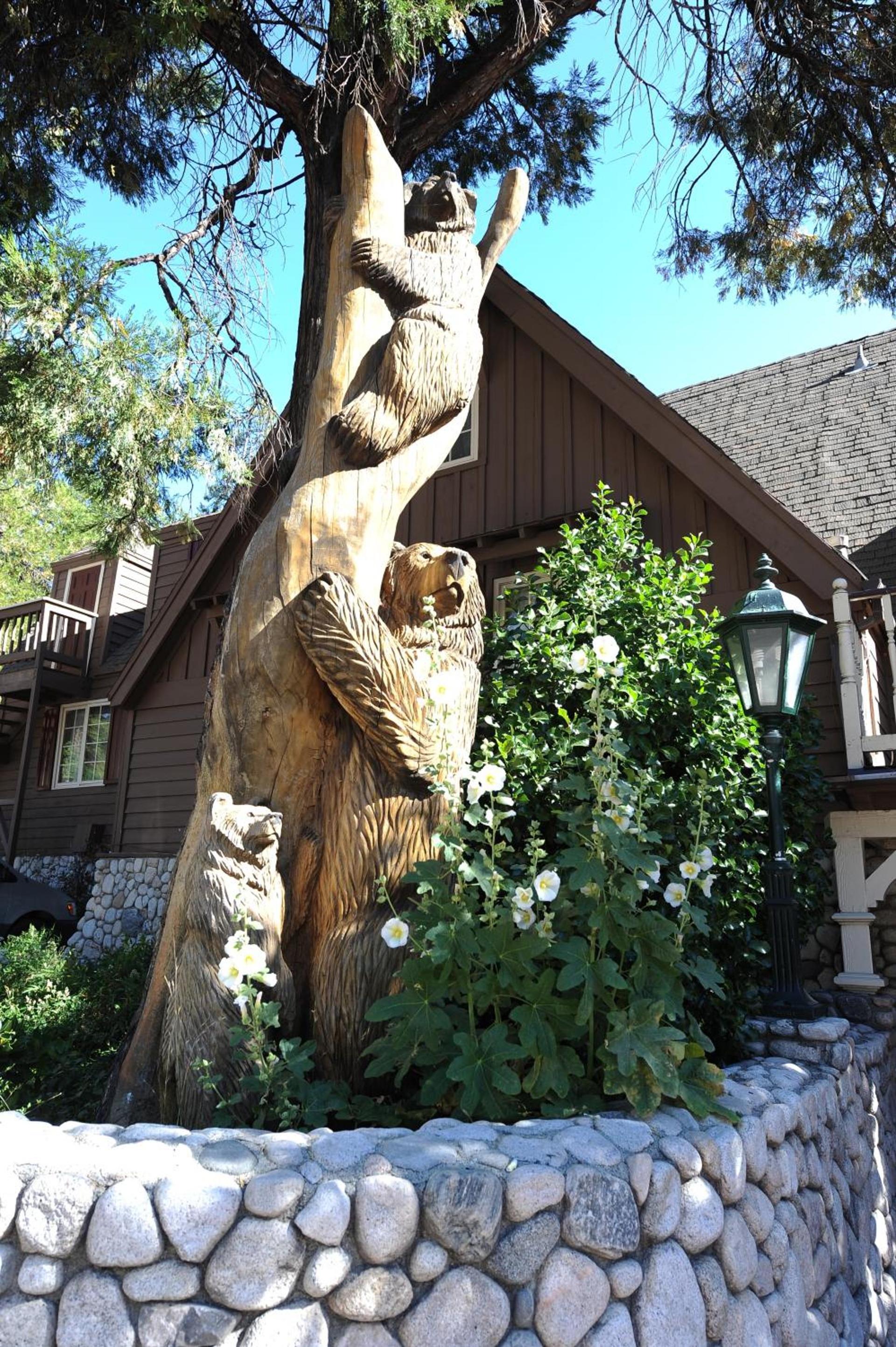 Saddleback Inn at Lake Arrowhead photo 5