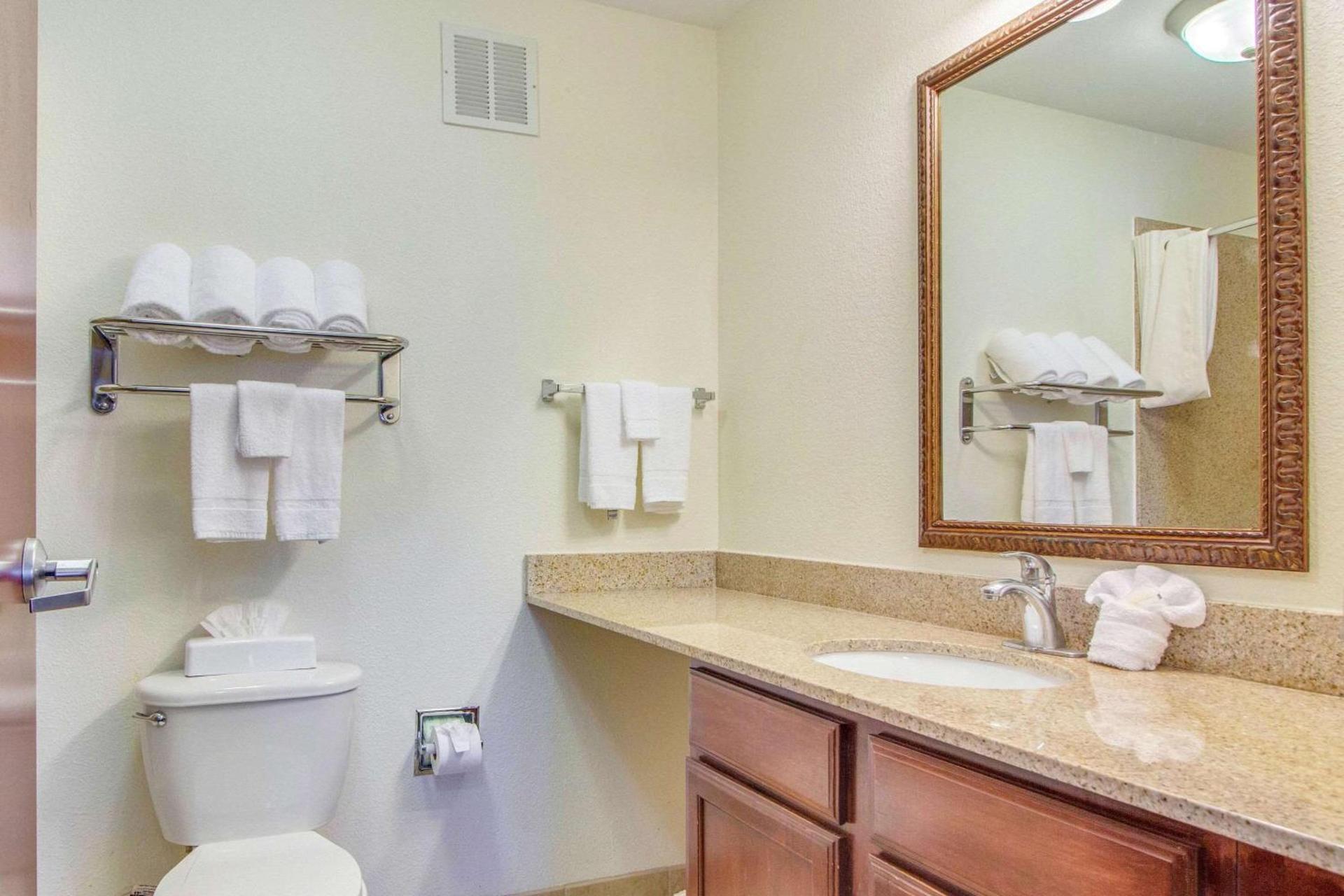 MainStay Suites Texas Medical Center-Reliant Park photo 20