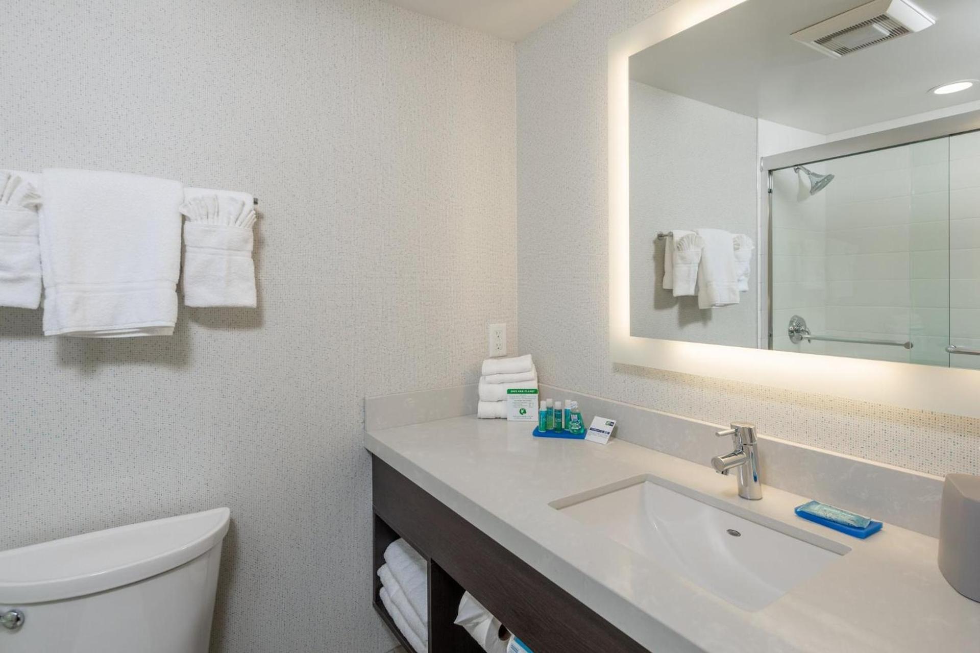 Holiday Inn Express - Sunnyvale - Silicon Valley by IHG photo 41