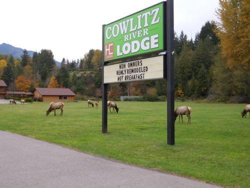 Cowlitz River Lodge photo 4