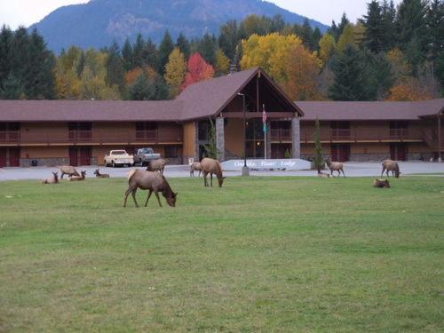 Cowlitz River Lodge photo 5