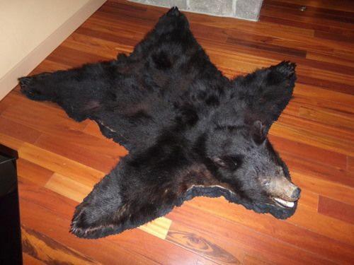 Cowlitz River Lodge photo 6