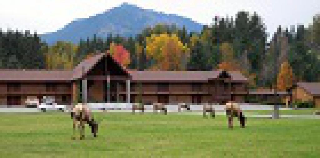 Cowlitz River Lodge photo 29