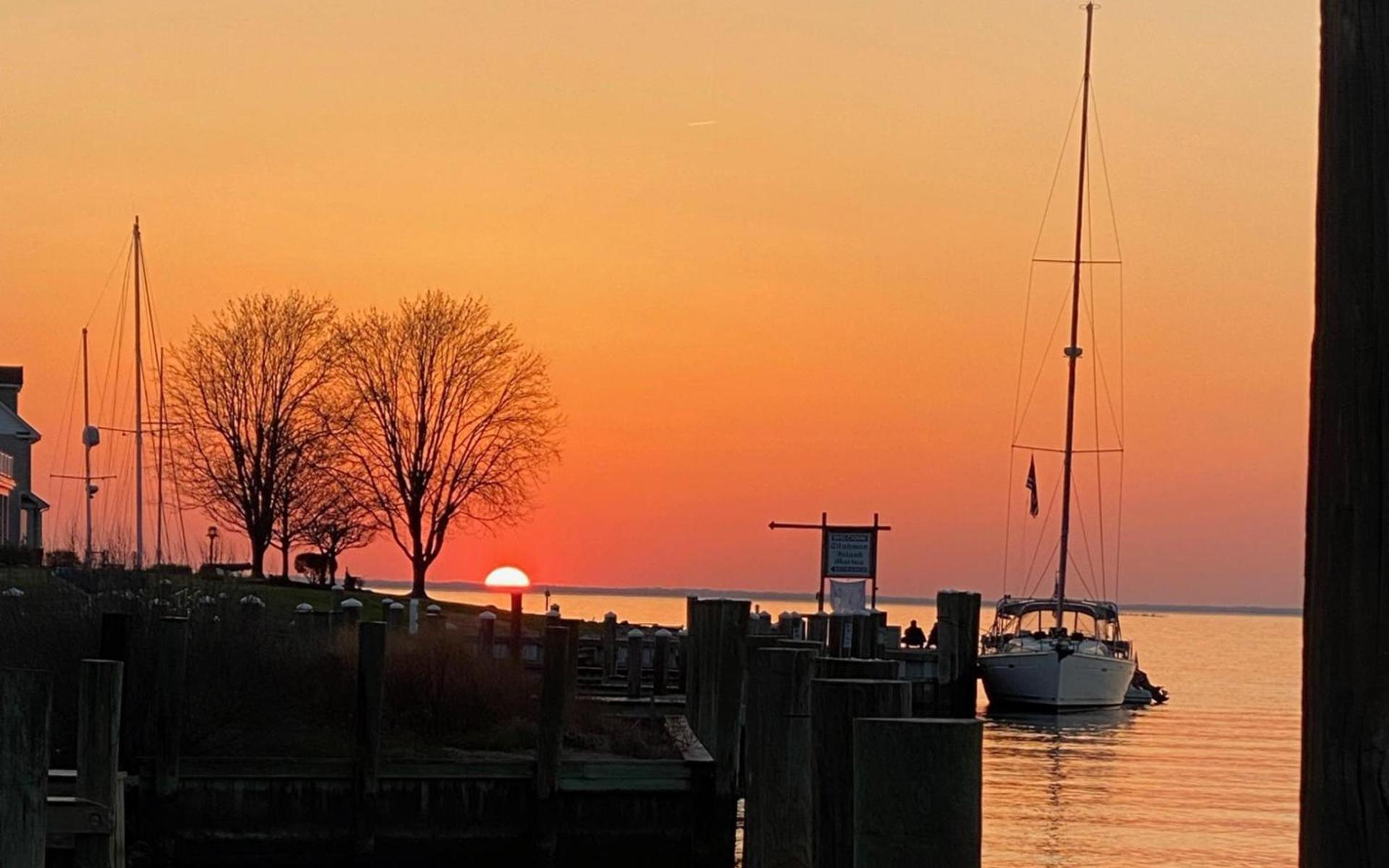 Tilghman Island Inn photo 55