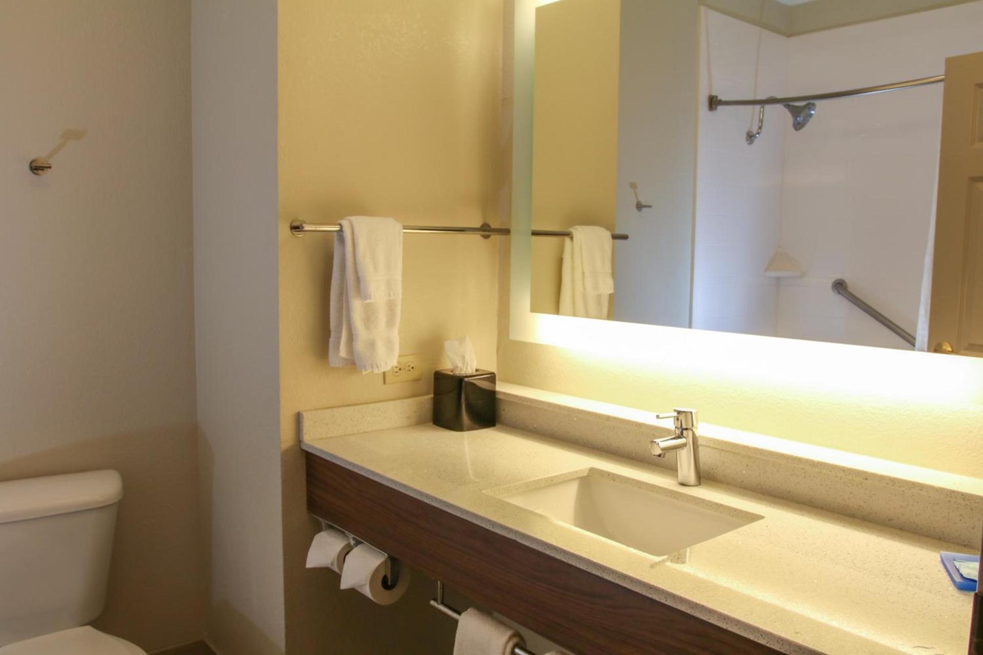 Holiday Inn Express Hotel & Suites Mount Pleasant by IHG photo 10