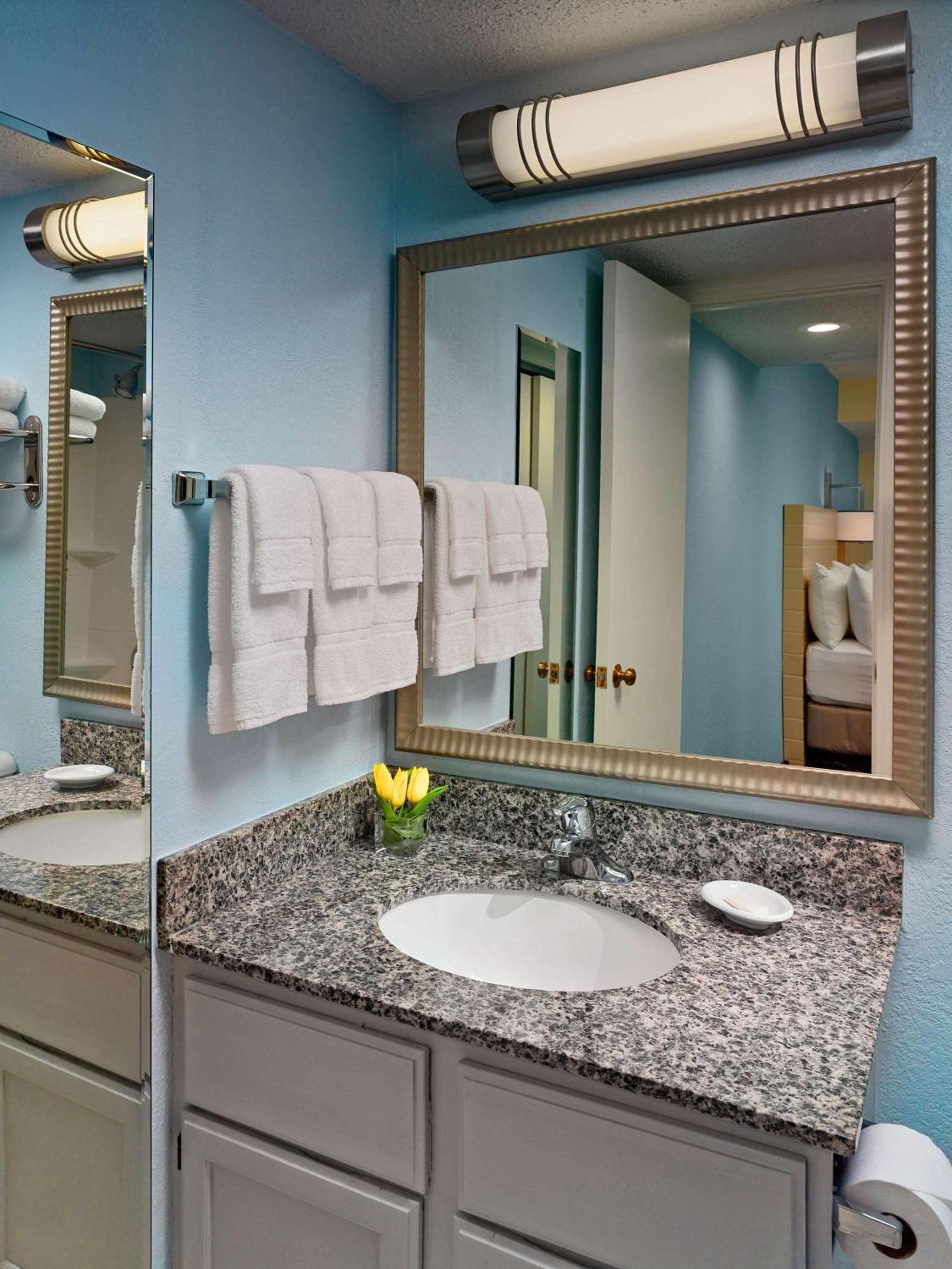 Sonesta ES Suites Houston Galleria photo 22