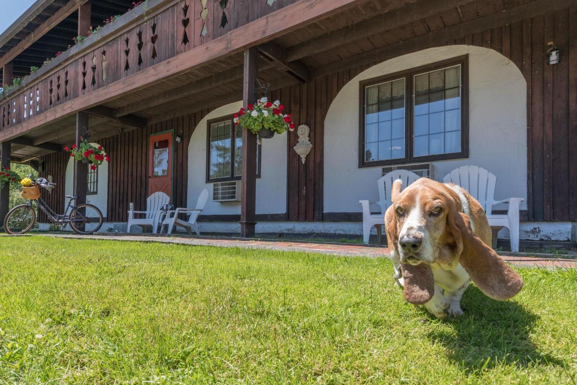 Innsbruck Inn at Stowe photo 13