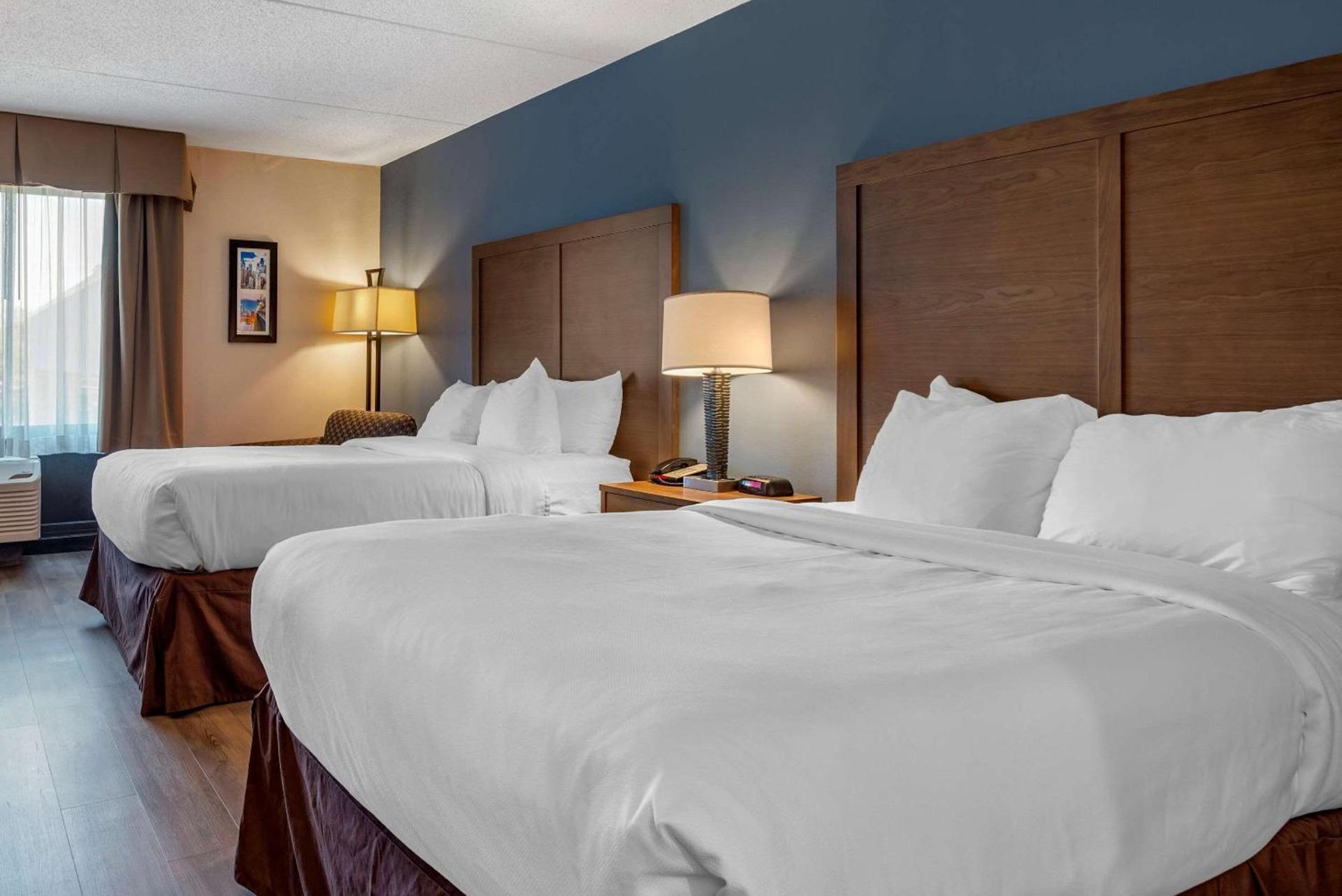 Comfort Inn Horsham - Philadelphia photo 10