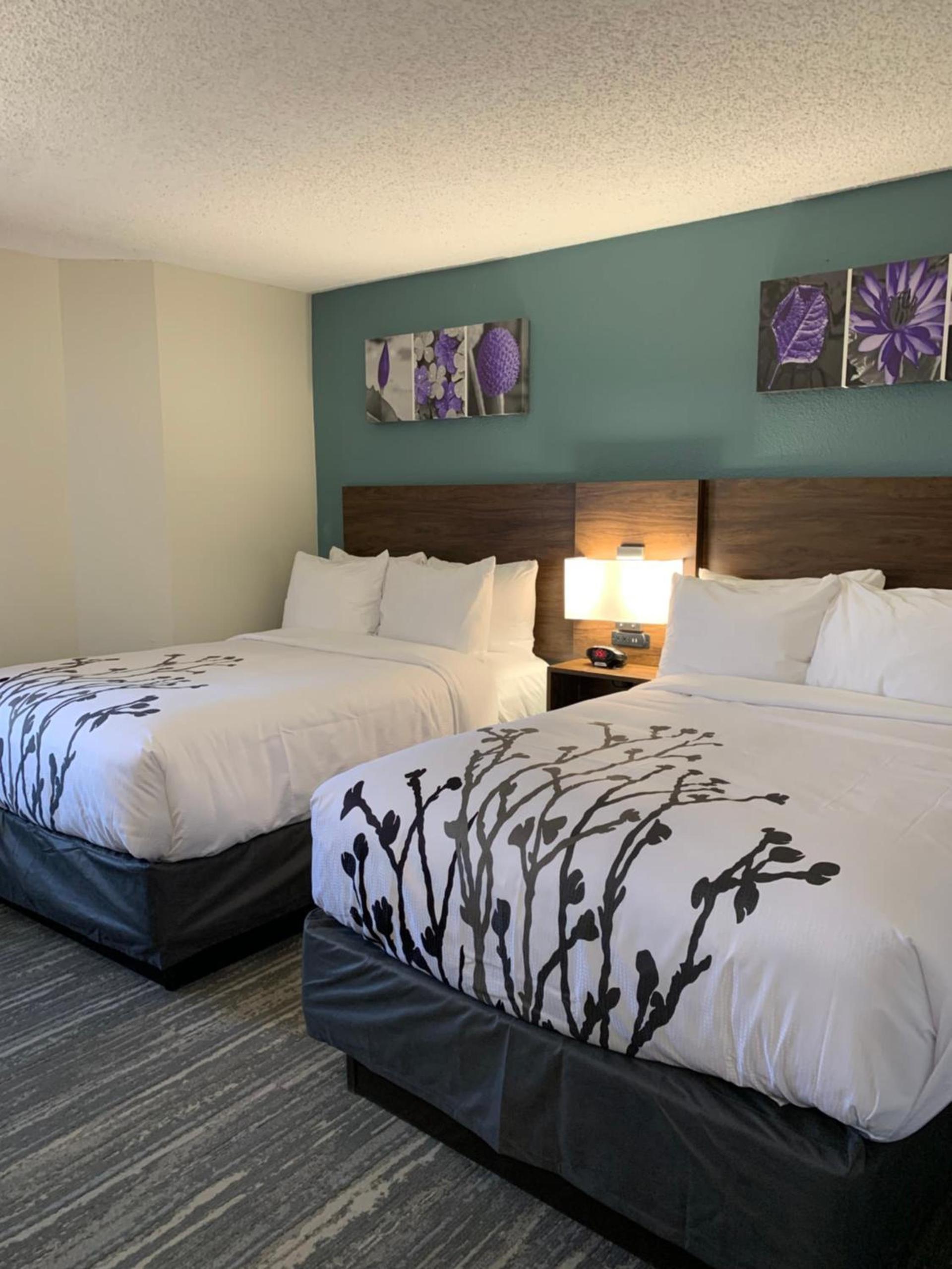 Sleep Inn & Suites California MD photo 23