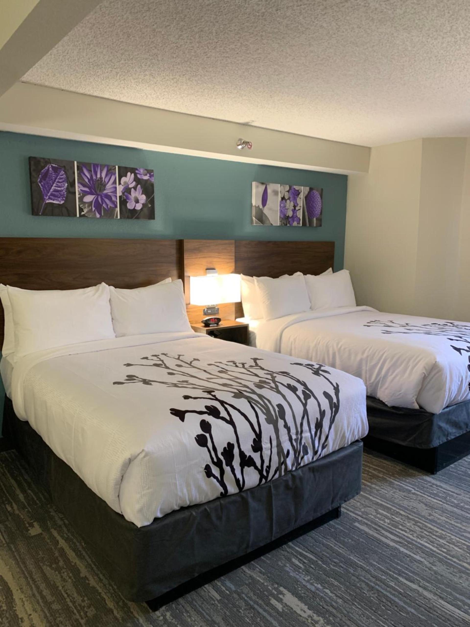 Sleep Inn & Suites California MD photo 25
