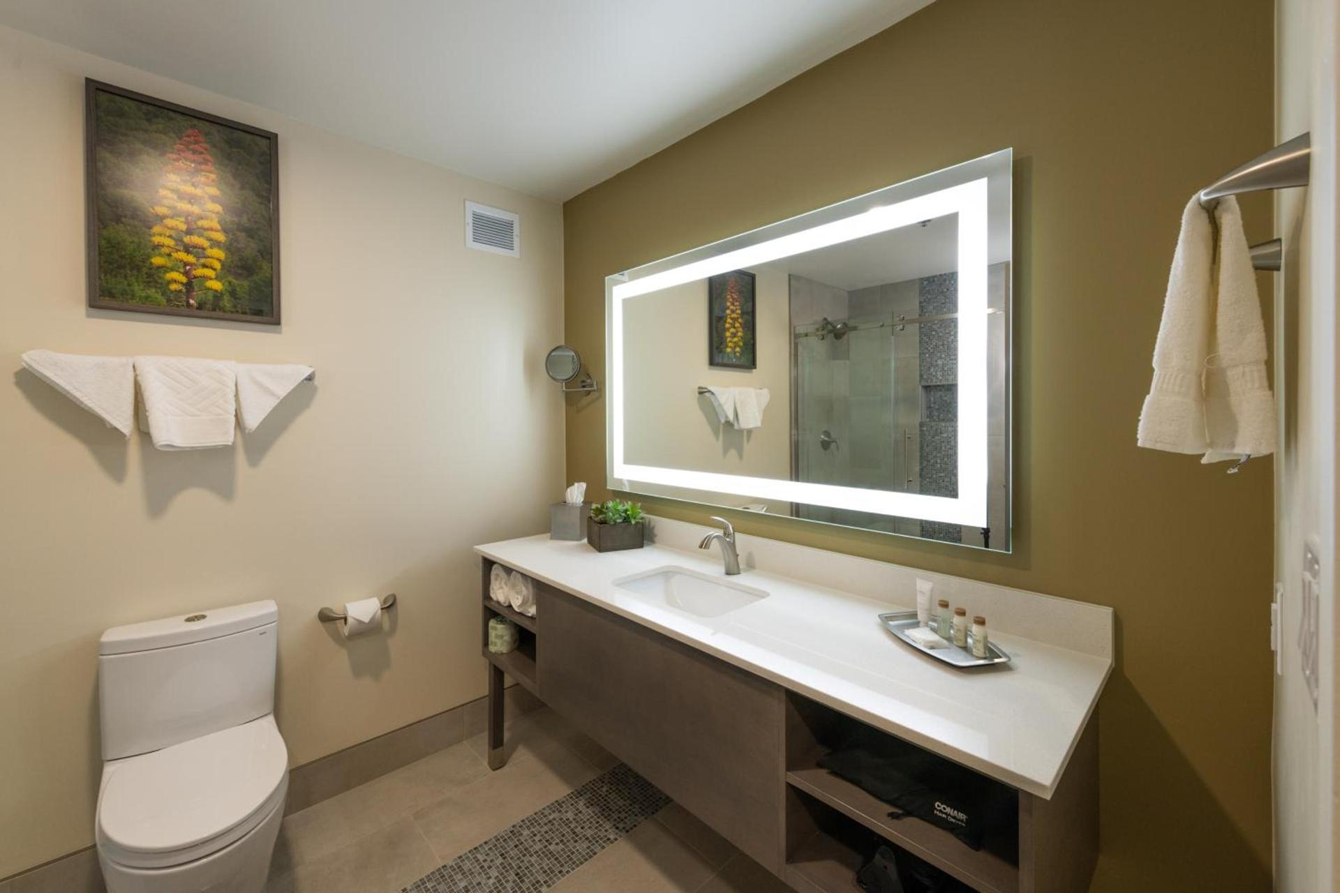 Apache Gold Resort Hotel & Casino photo 27