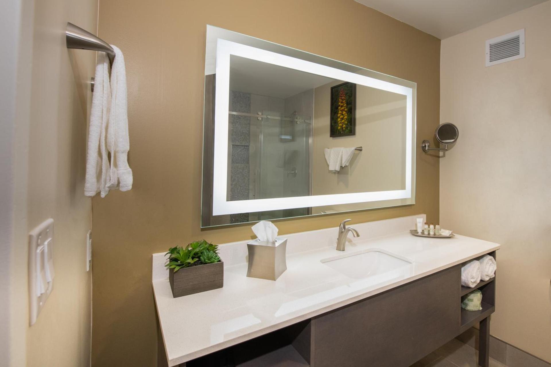 Apache Gold Resort Hotel & Casino photo 43