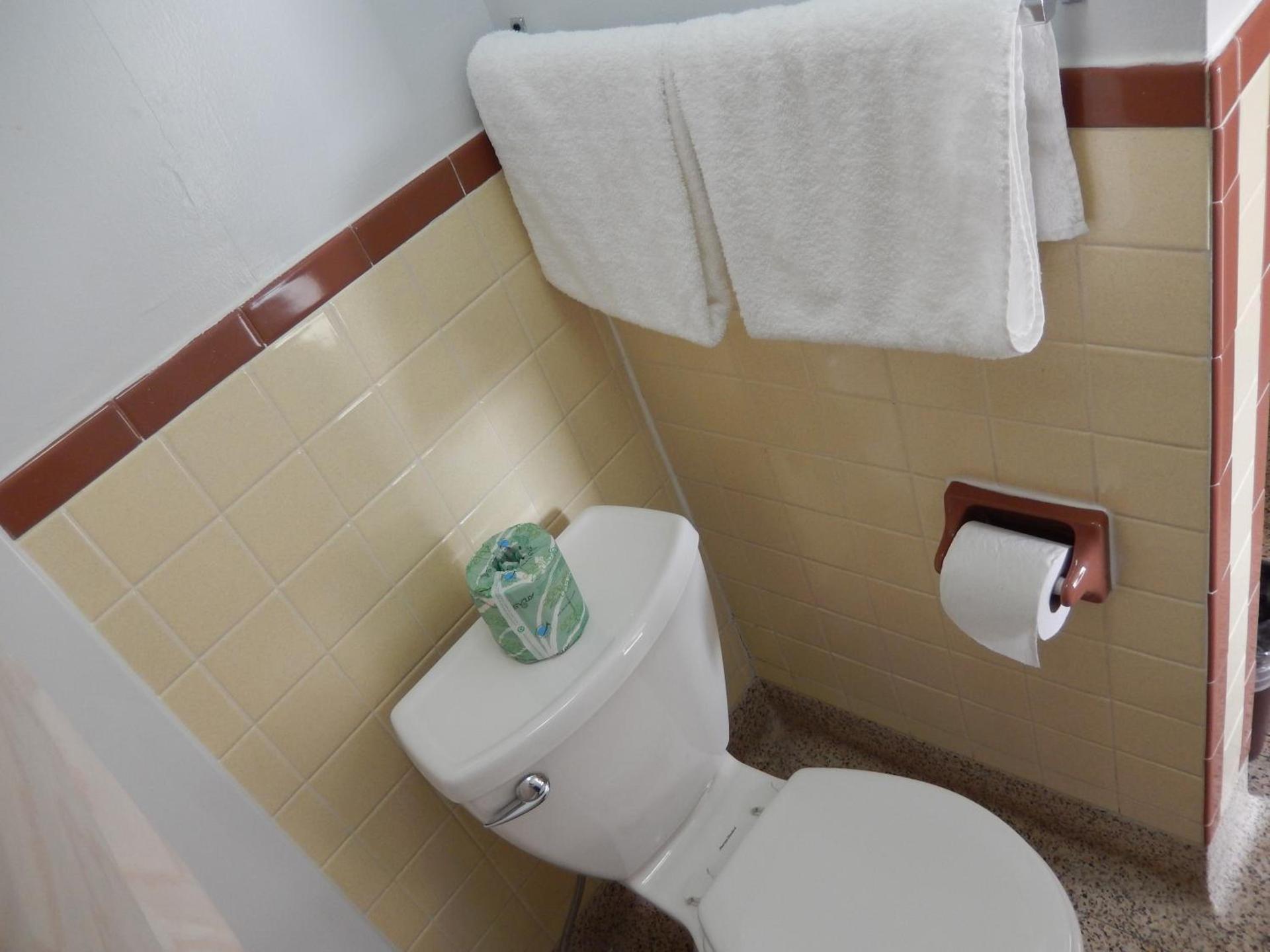 Townsman Motel photo 19