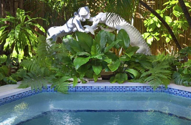 The Mermaid & The Alligator photo 11