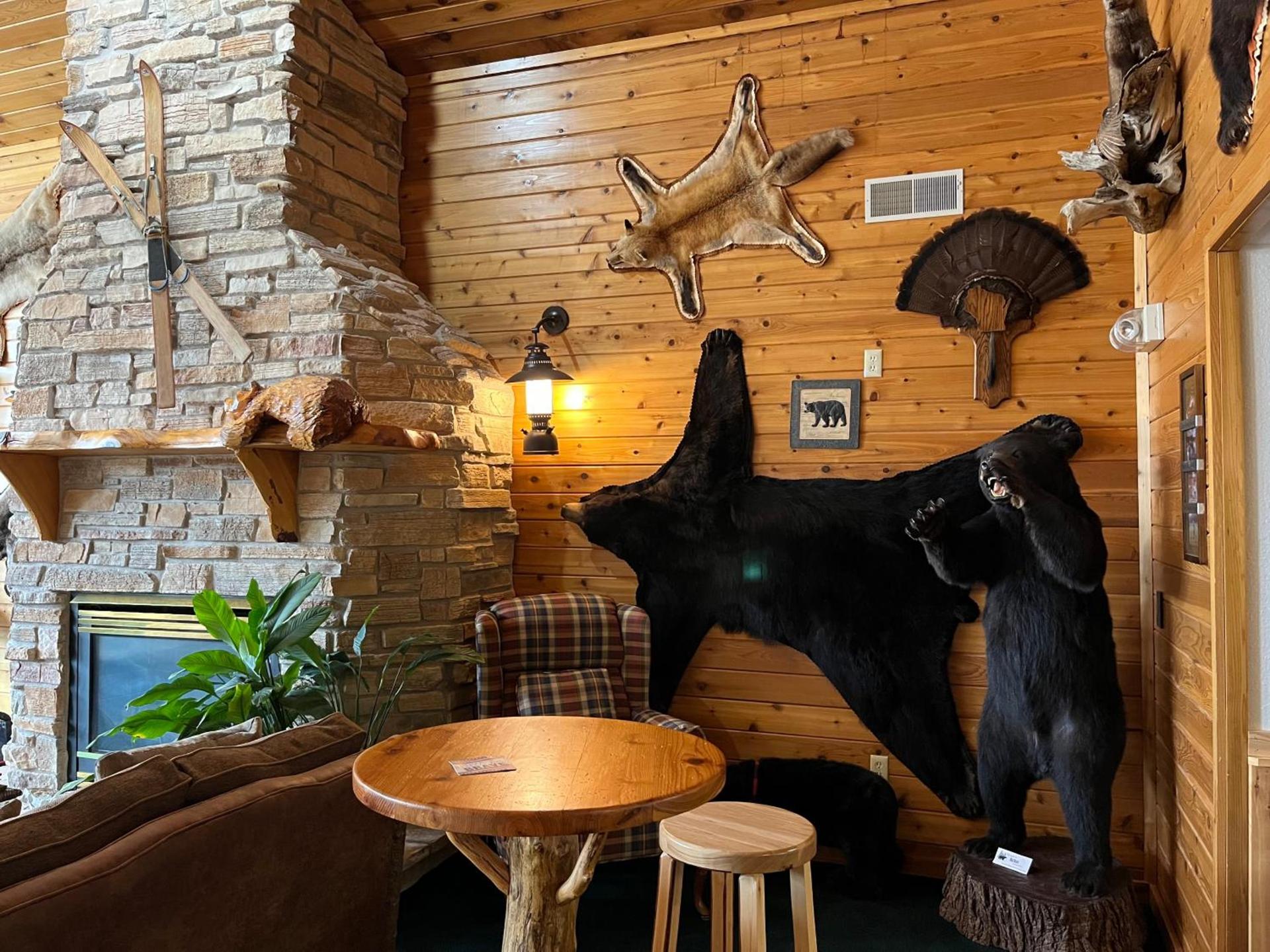 Boulder Bear Motor Lodge photo 9