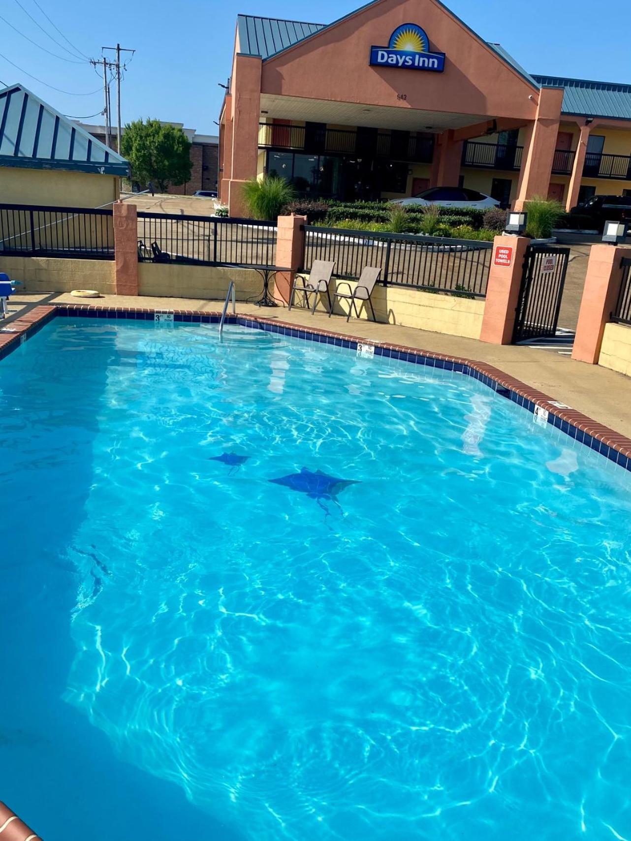 Days Inn by Wyndham Hernando photo 19