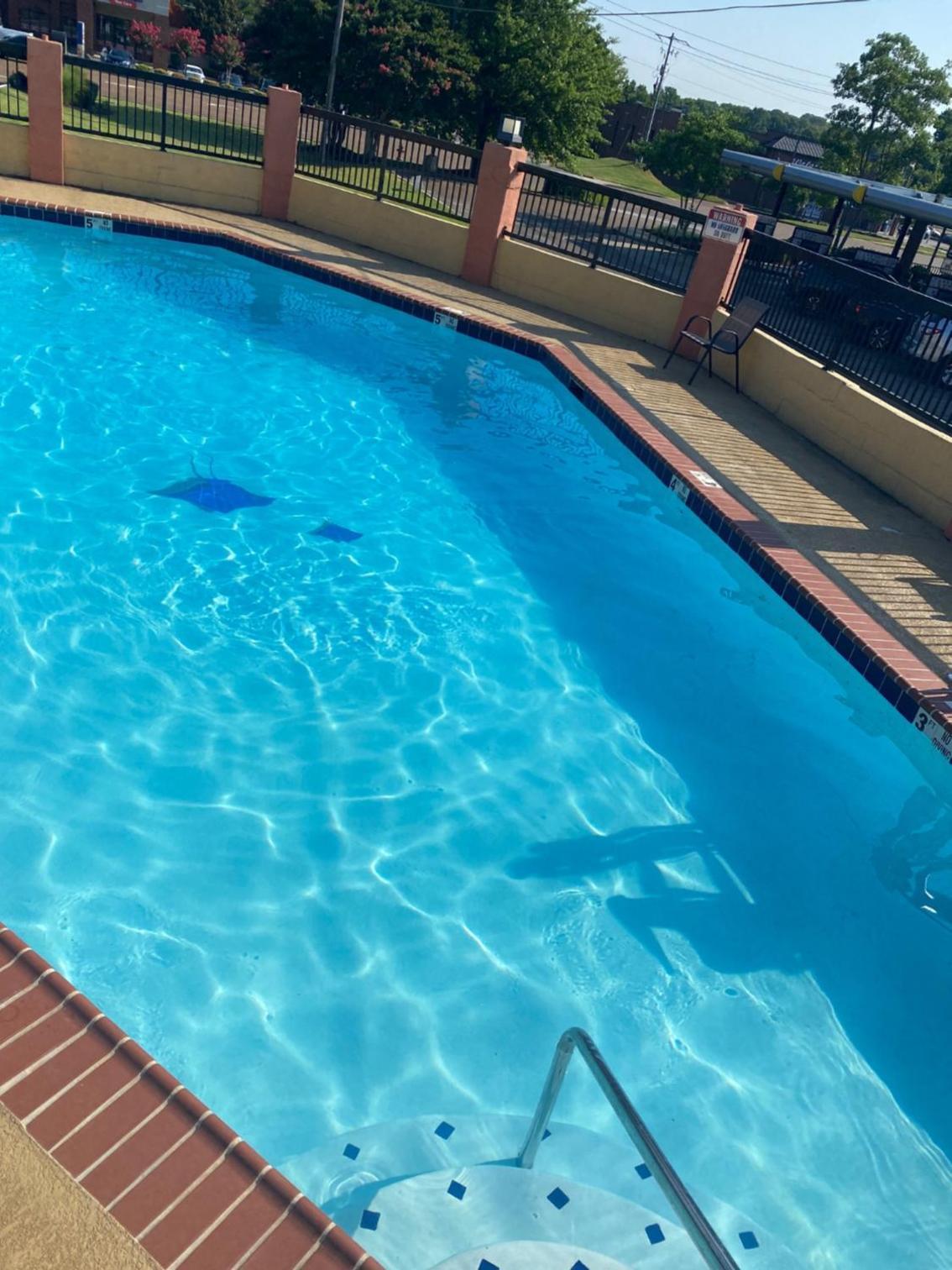 Days Inn by Wyndham Hernando photo 3
