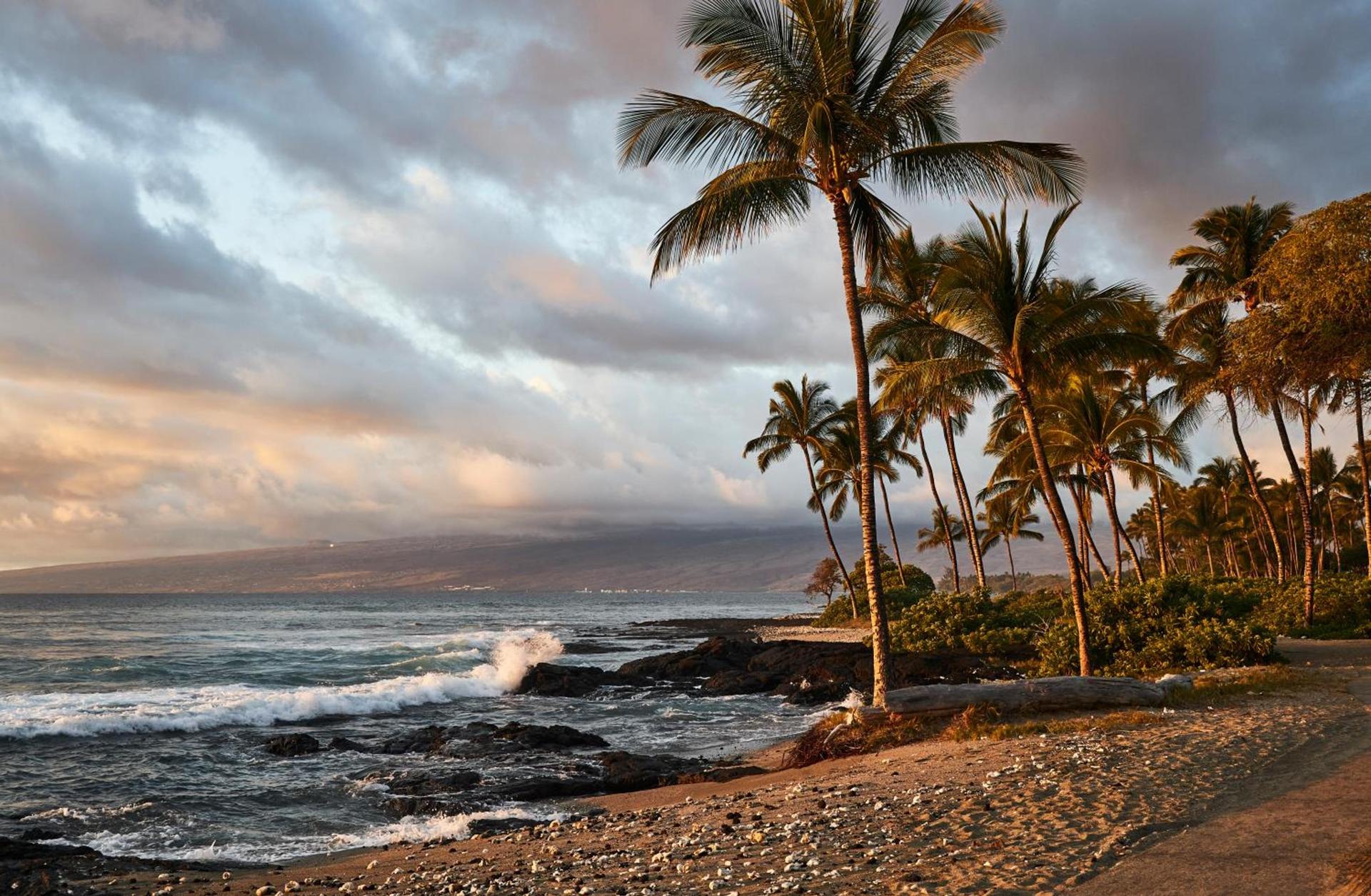 Mauna Lani, Auberge Resorts Collection photo 89