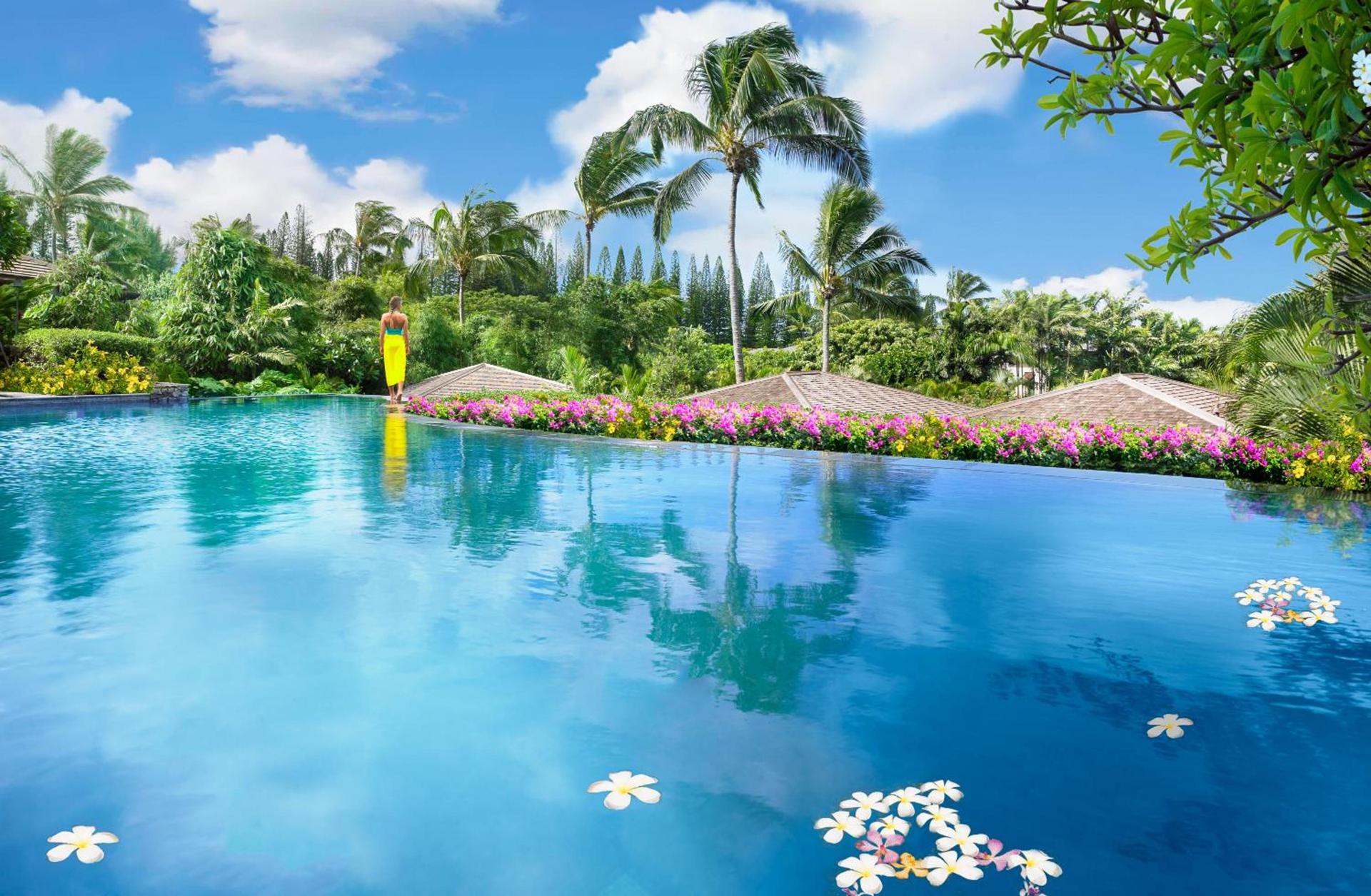 The Resort at Kapalua Bay, Maui photo 6