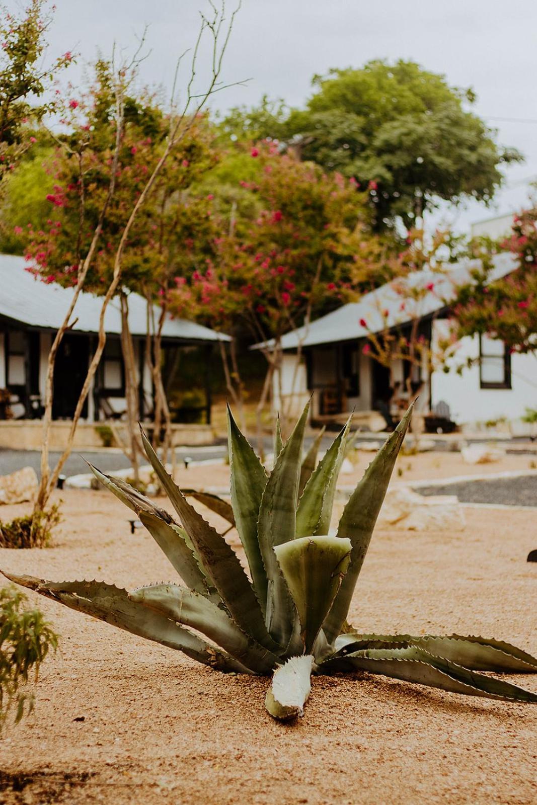 THE VAQUERO MOTEL photo 22