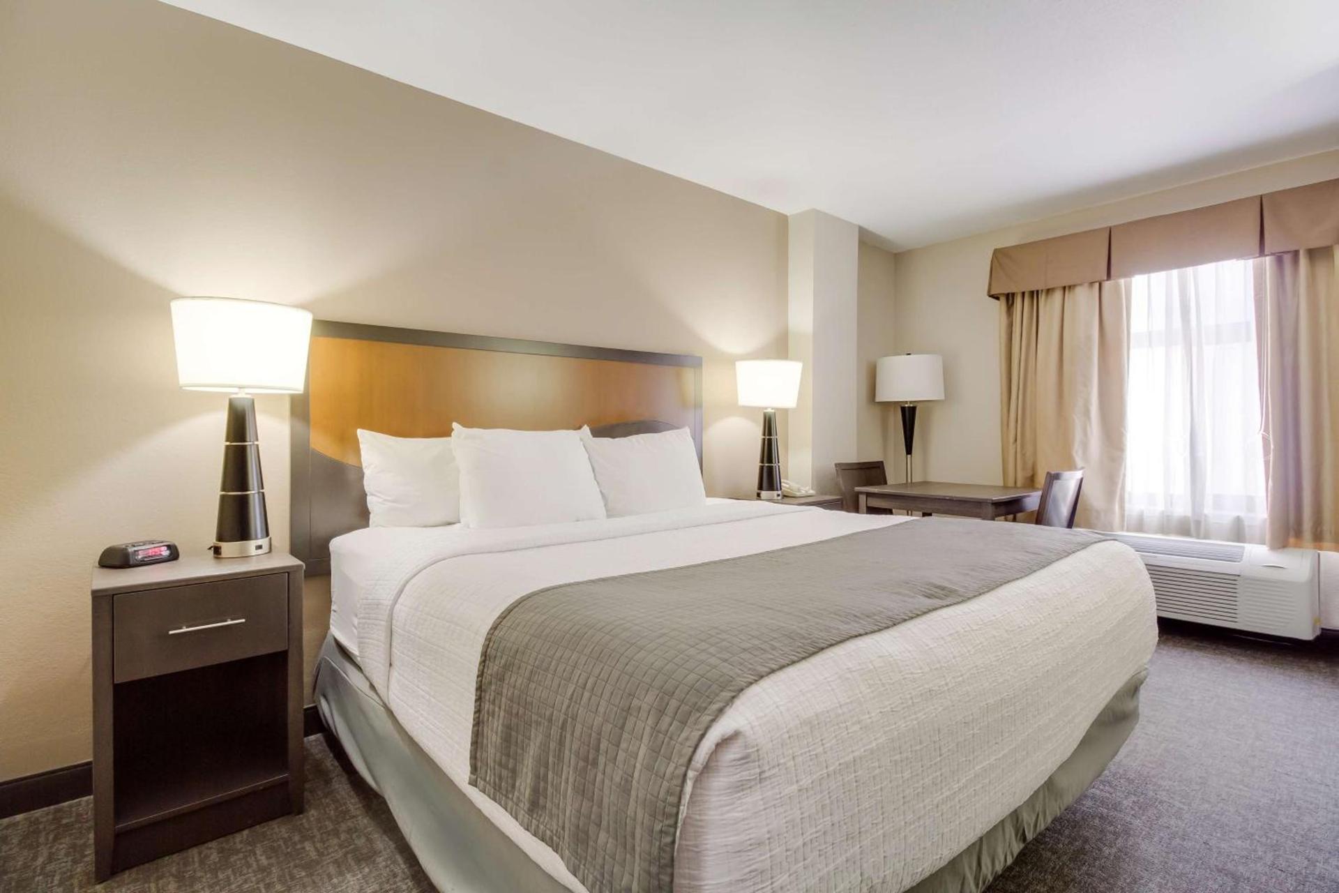 SureStay Plus Hotel by Best Western Houston Medical Center photo 22