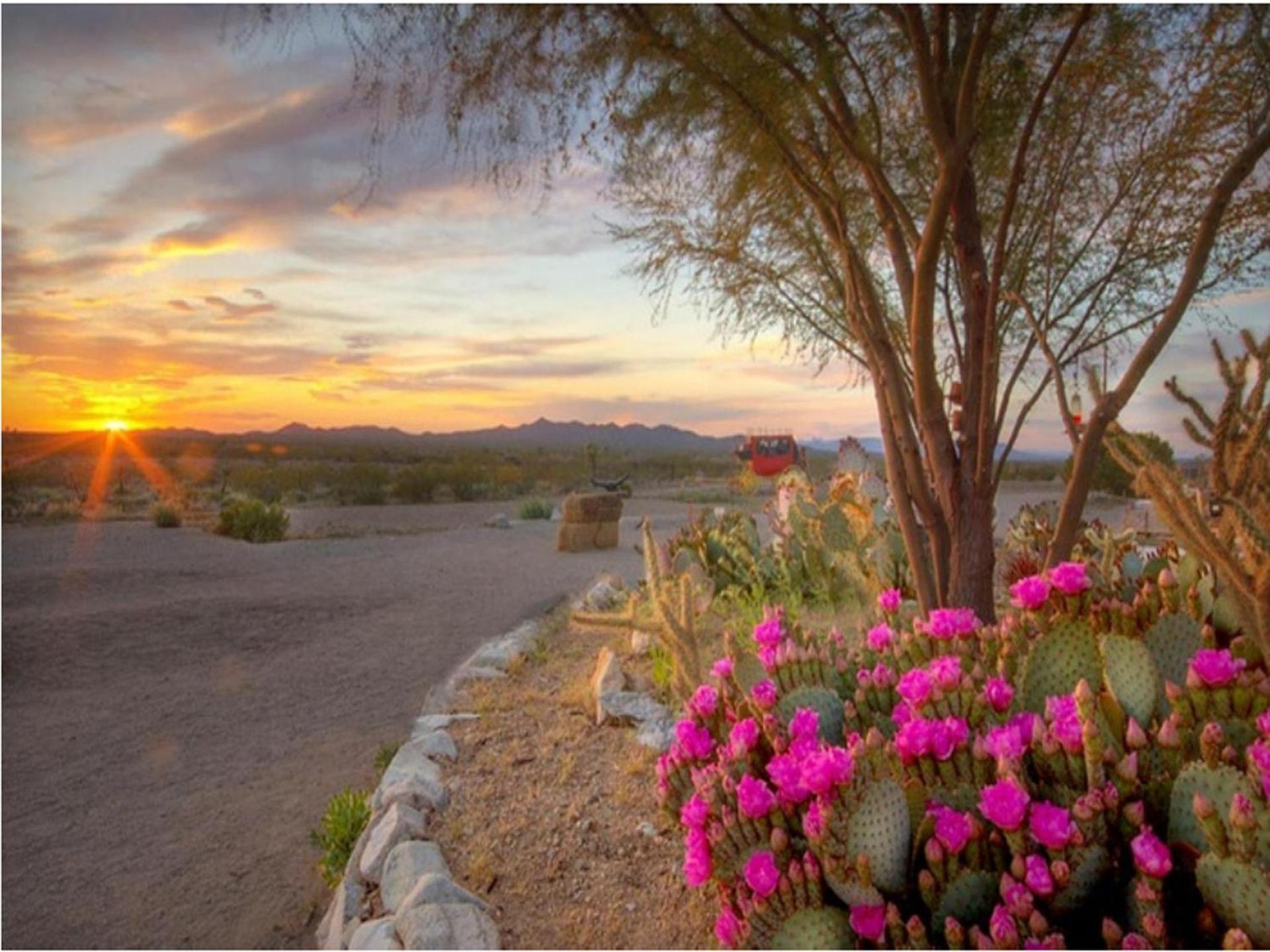 Stagecoach Trails Guest Ranch photo 13