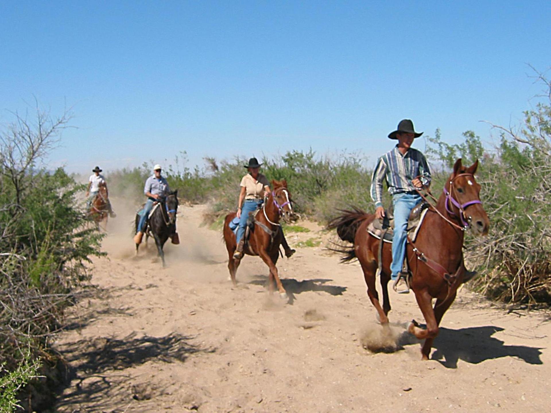 Stagecoach Trails Guest Ranch photo 8