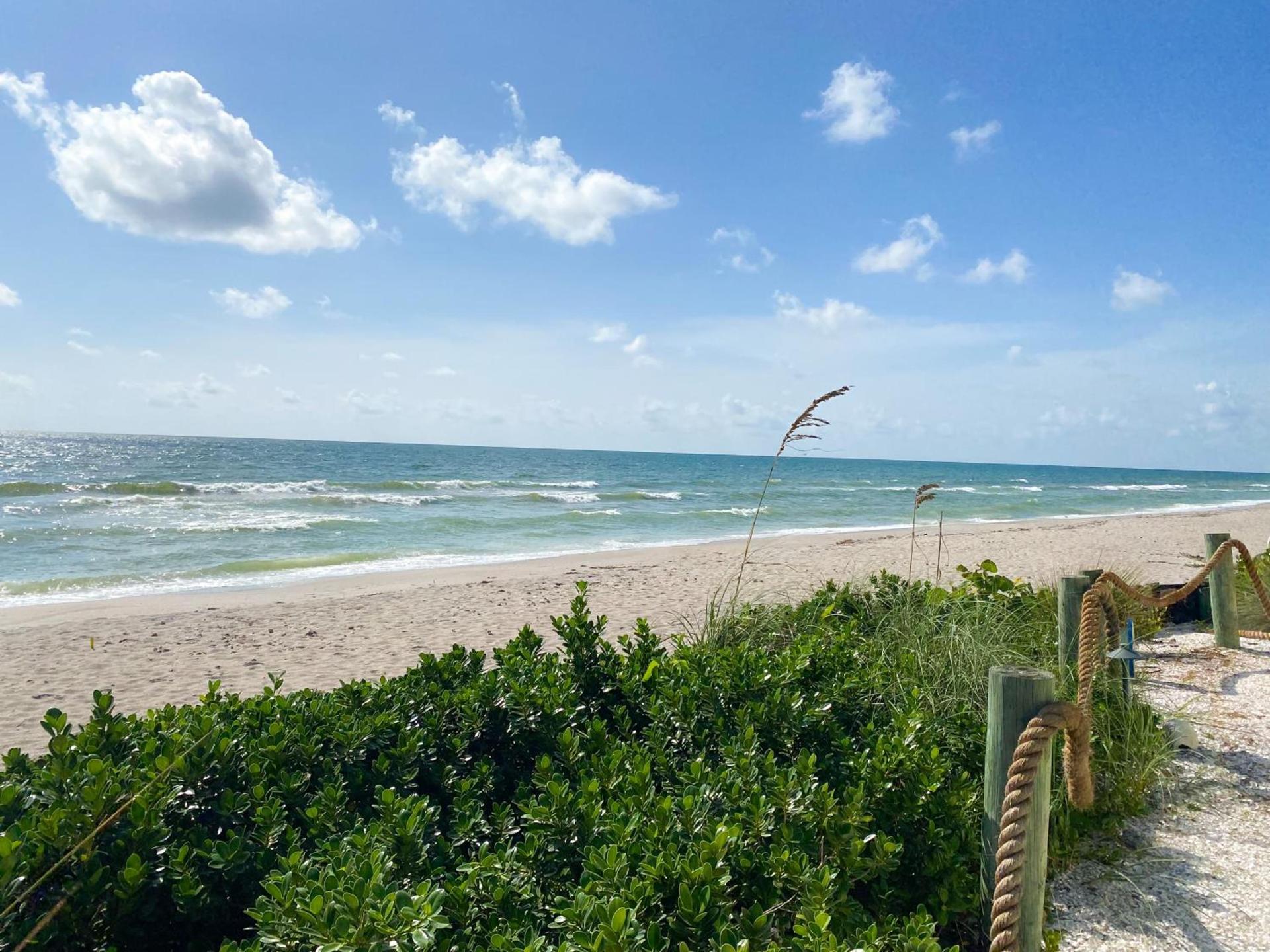 The Pearl Beach Inn photo 20