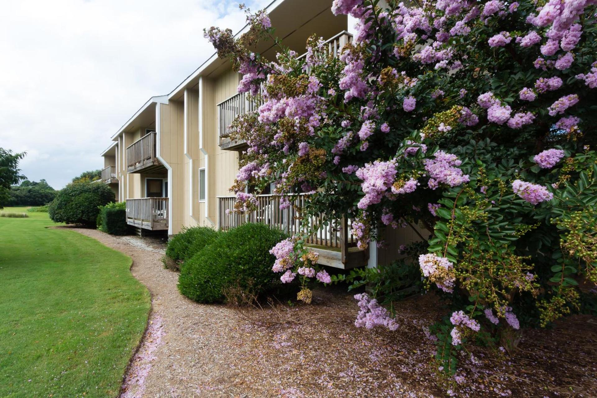 Sea Scape Beach and Golf Villas photo 4