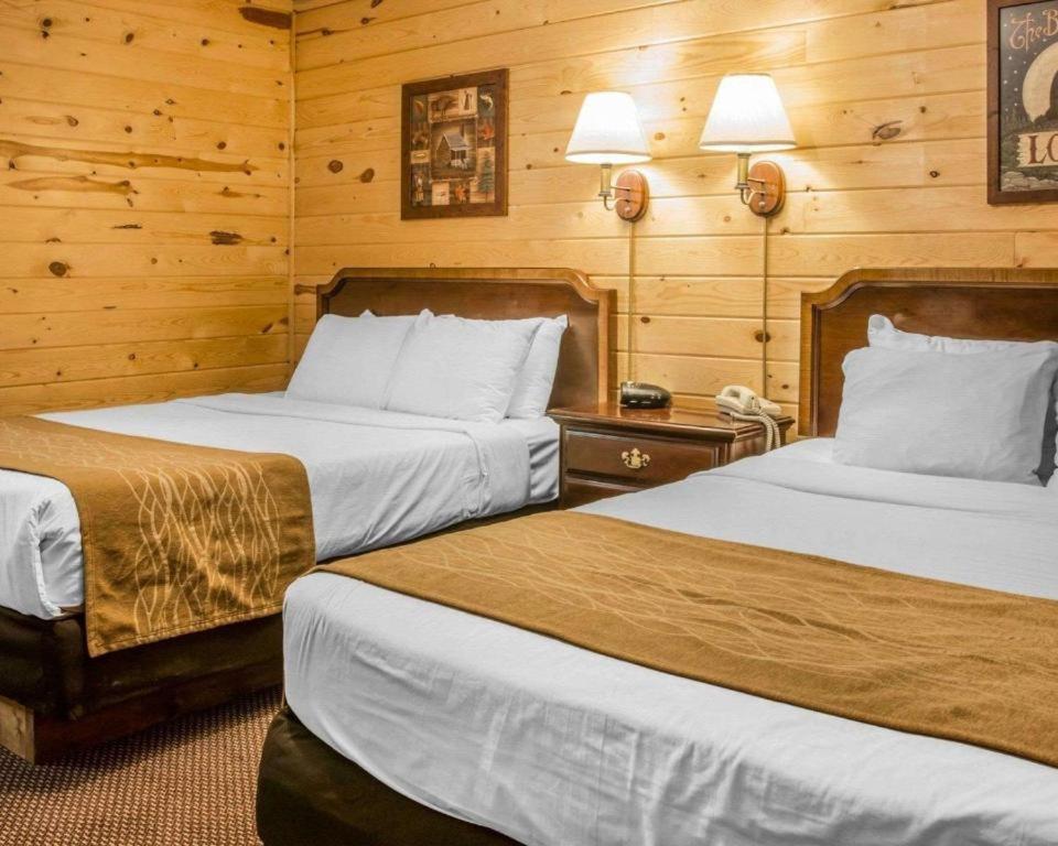 Mackinac Lodge photo 9