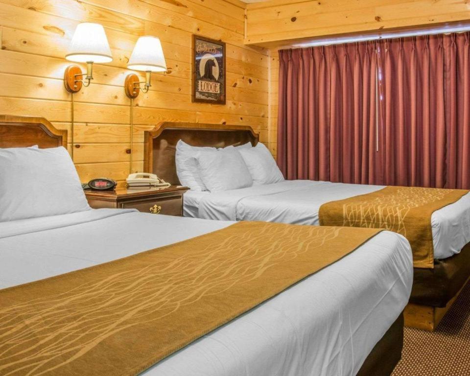 Mackinac Lodge photo 10