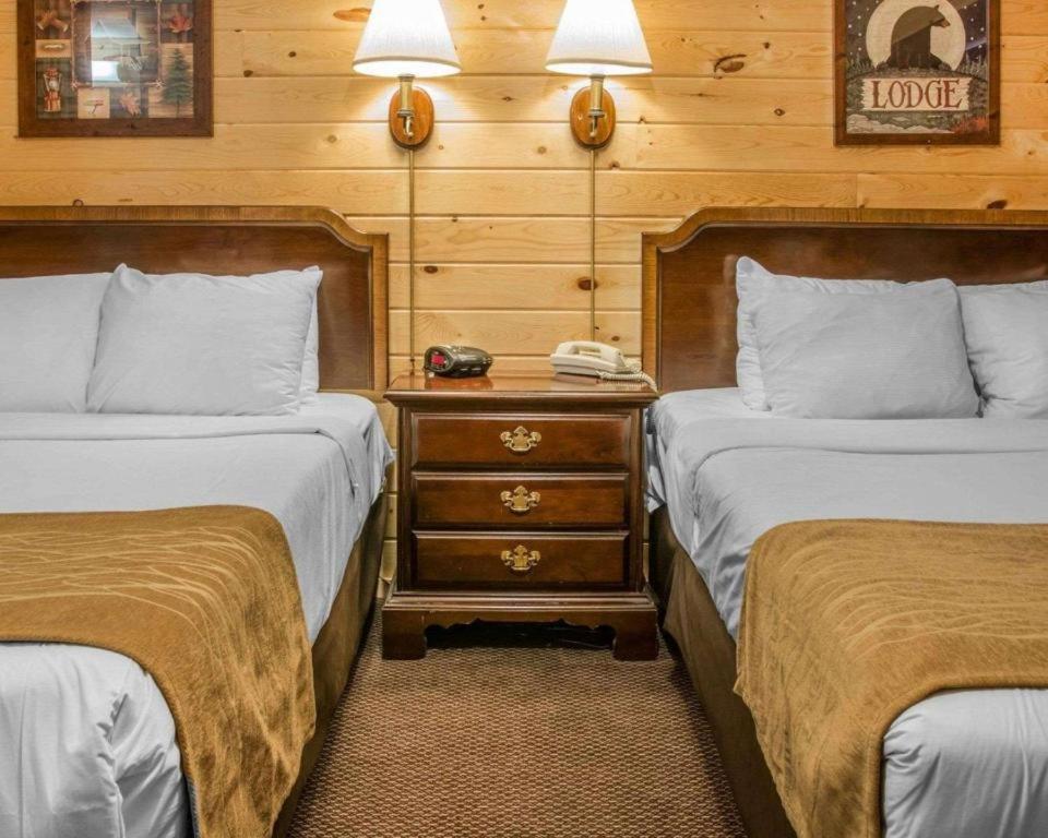 Mackinac Lodge photo 12